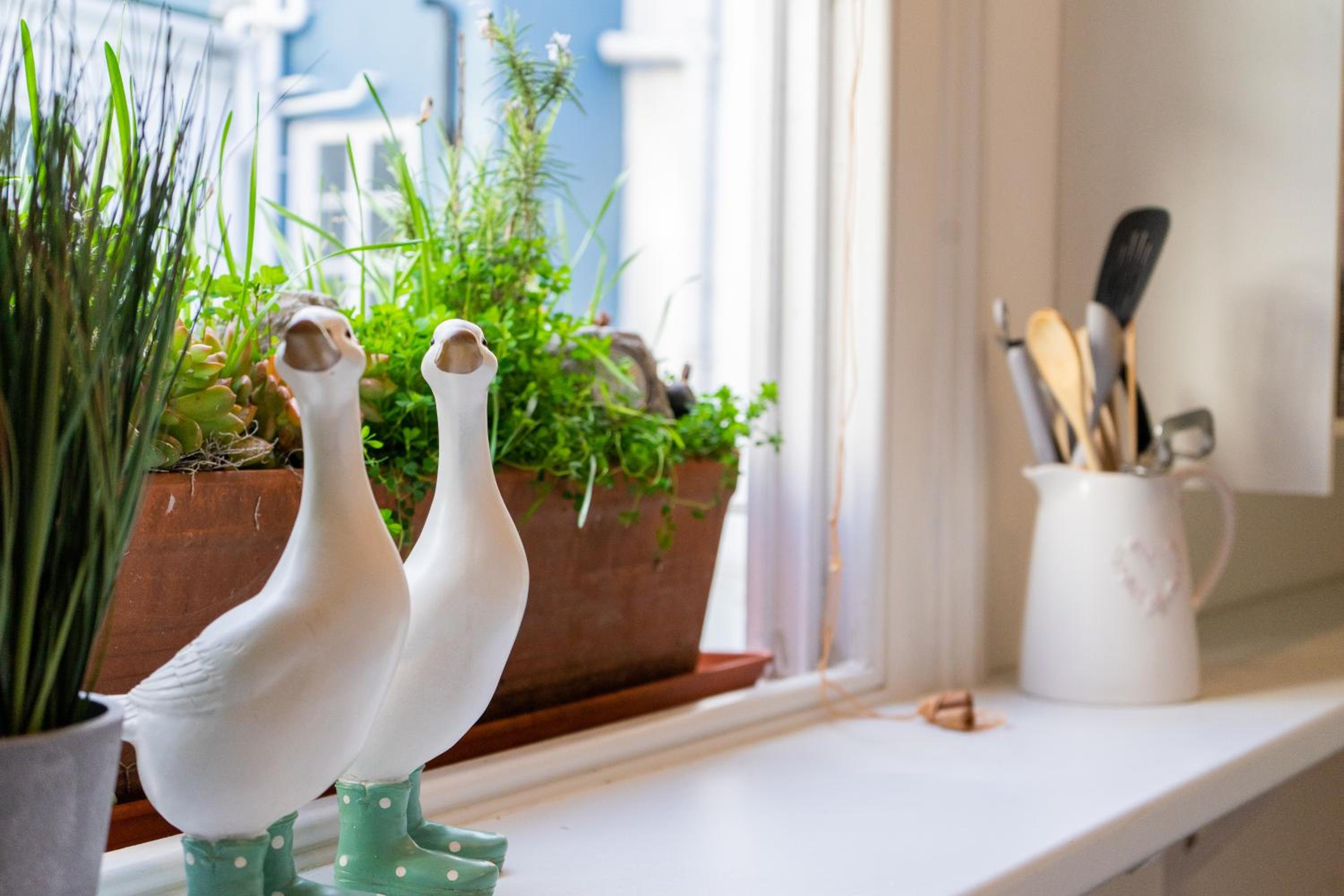 Bosun's Call Central Dartmouth - 2 Bed homely Apartment Self Check In - Pet Friendly Fast WiFi & Workspace - Perfect location in the middle of the old town