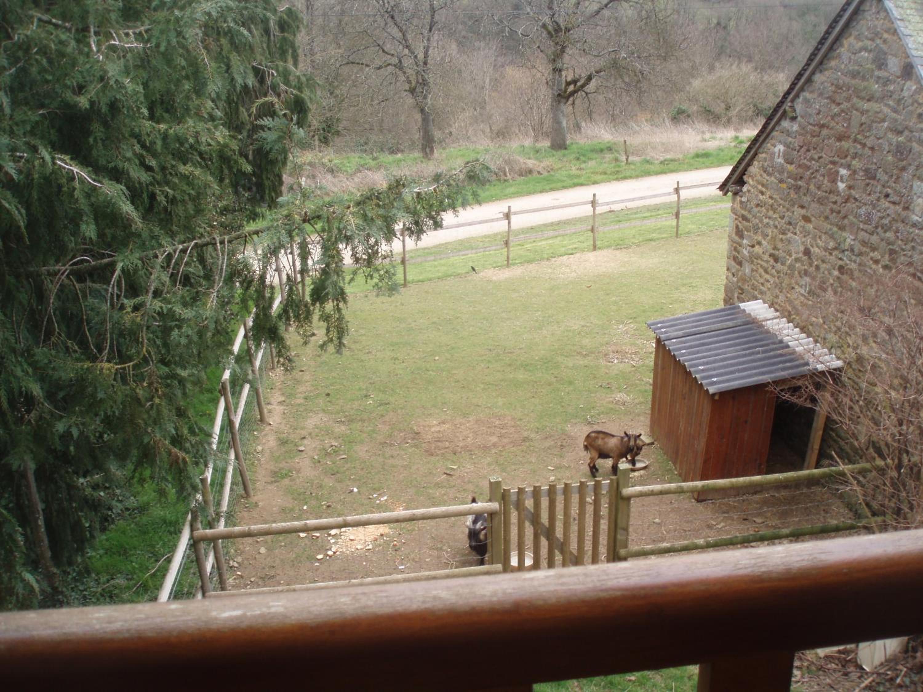 Photo 8