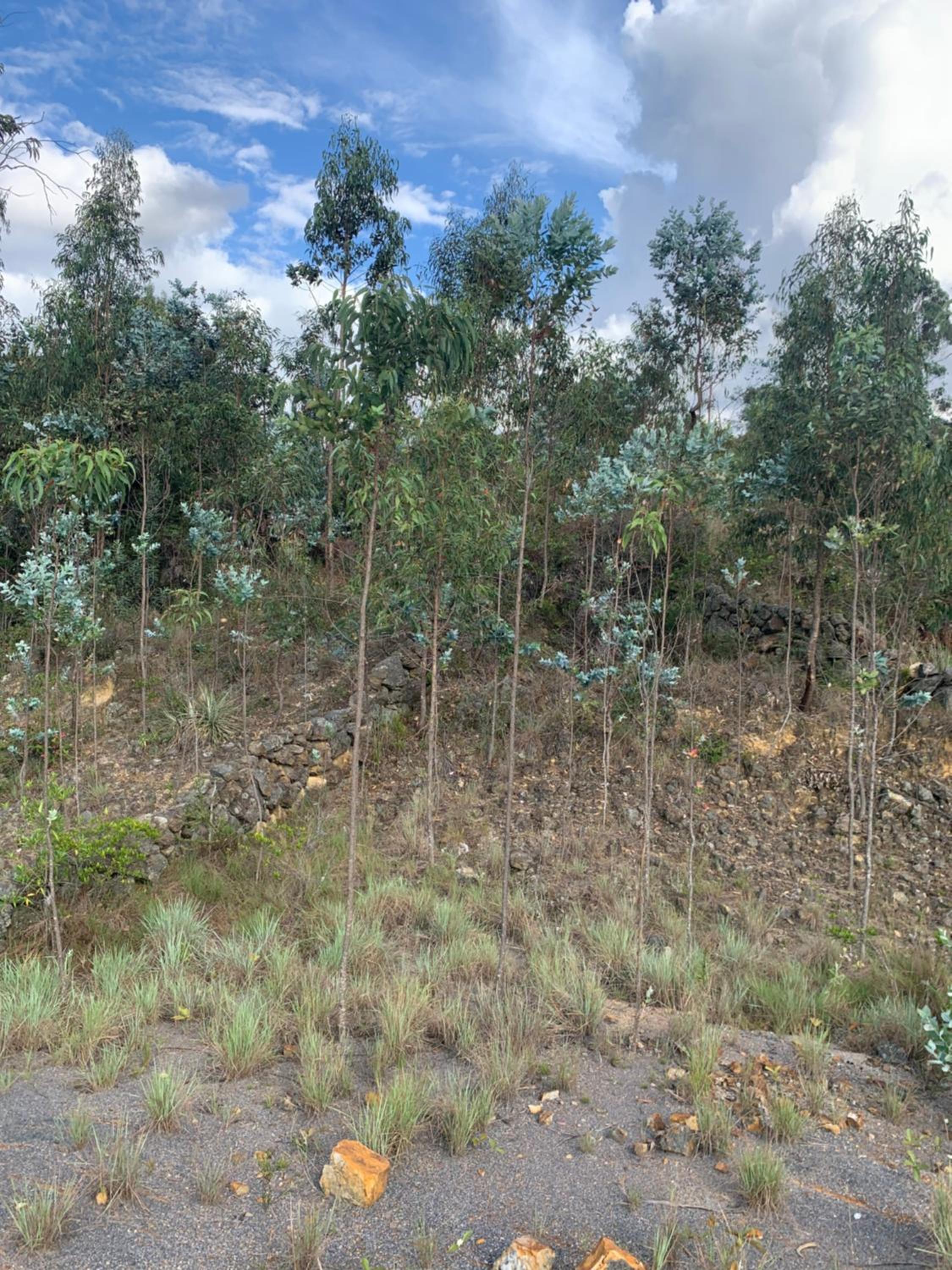 FINCA VILLA PEDREGAL RAQUIRA