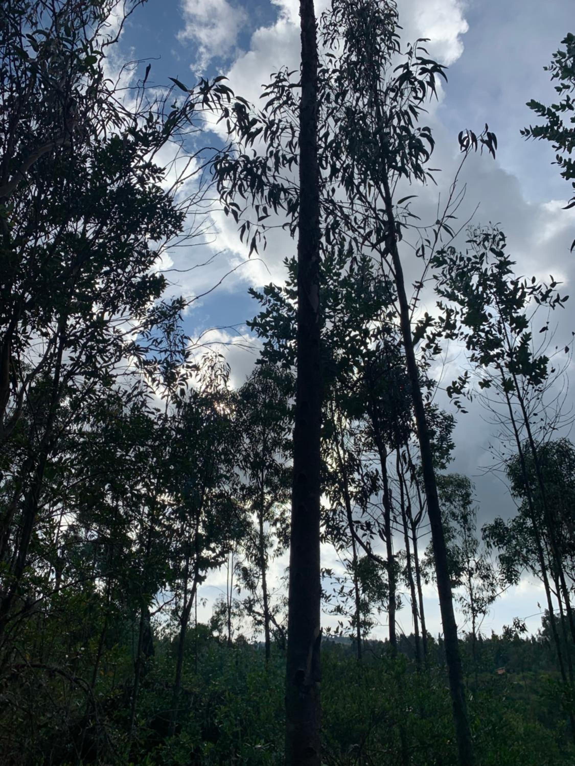FINCA VILLA PEDREGAL RAQUIRA