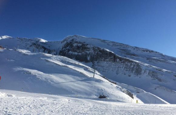 Marmotta 13