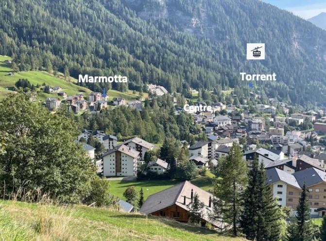Marmotta 13