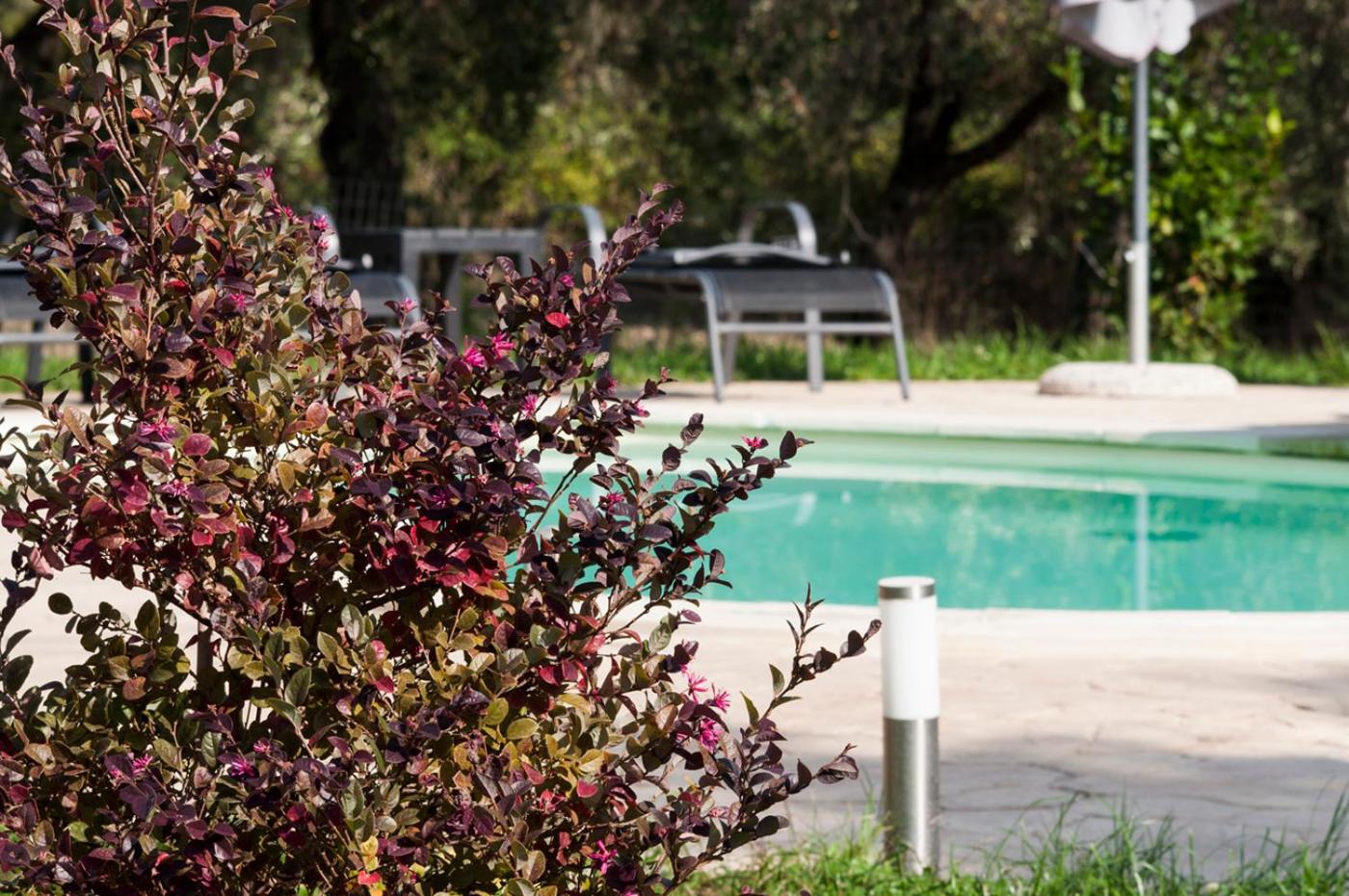 Agriturismo Tenuta Roccaccia