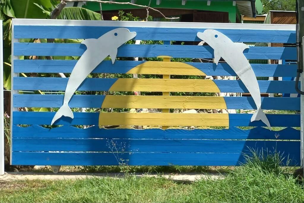 les Dauphins blancs