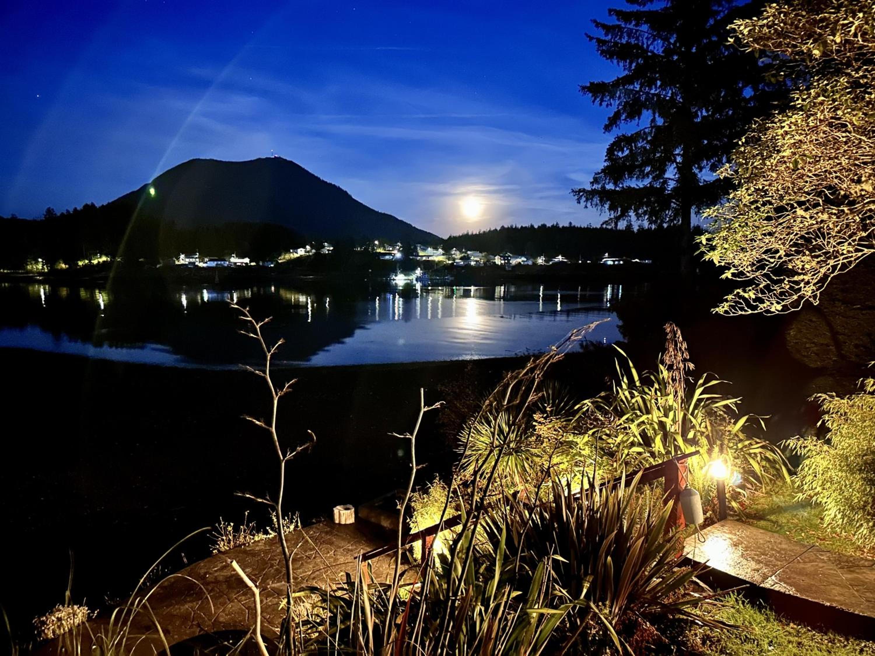 Private Oceanfront Cabin And Hot Tub! - Gww