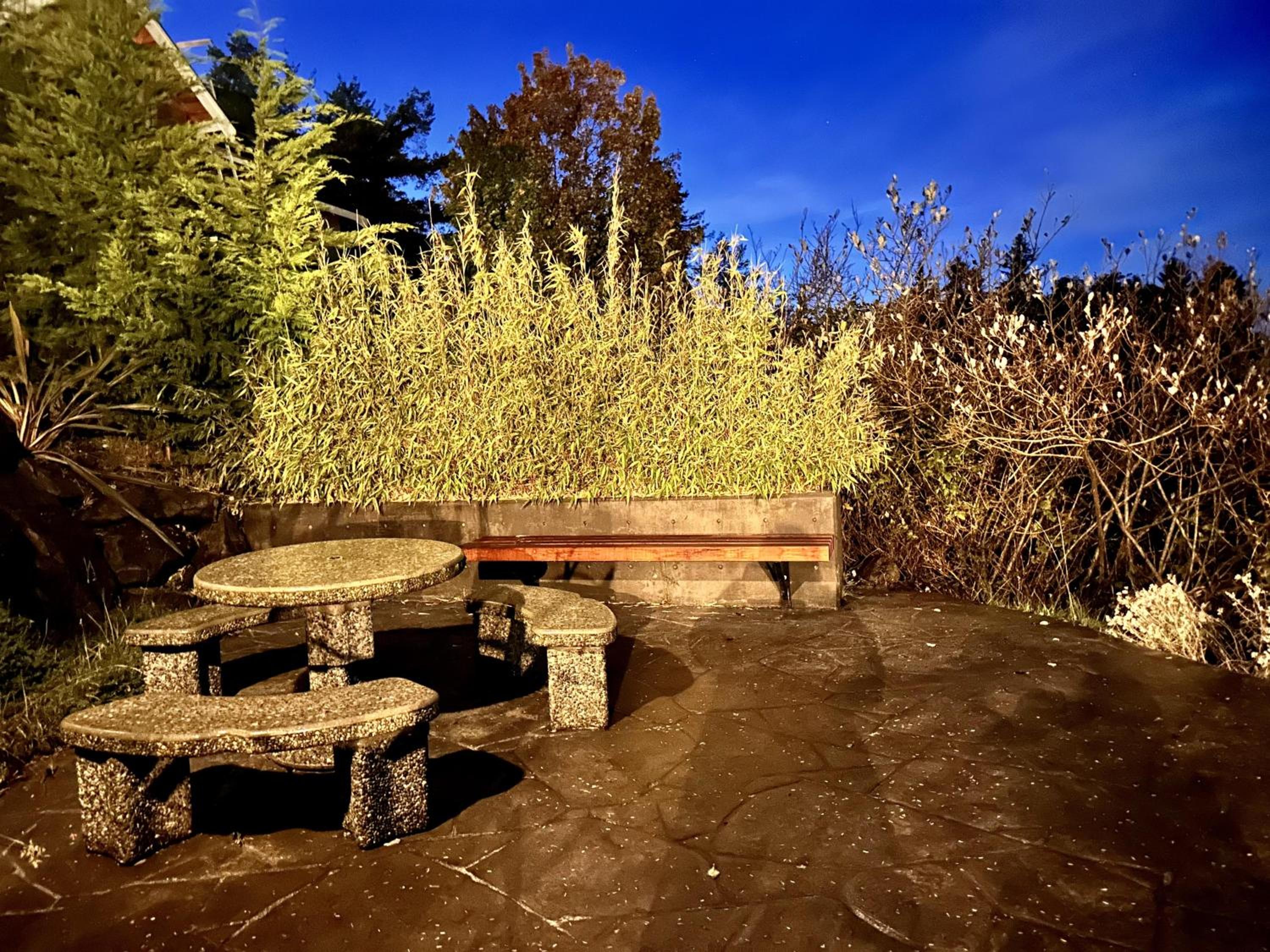 Private Oceanfront Cabin And Hot Tub! - Gww
