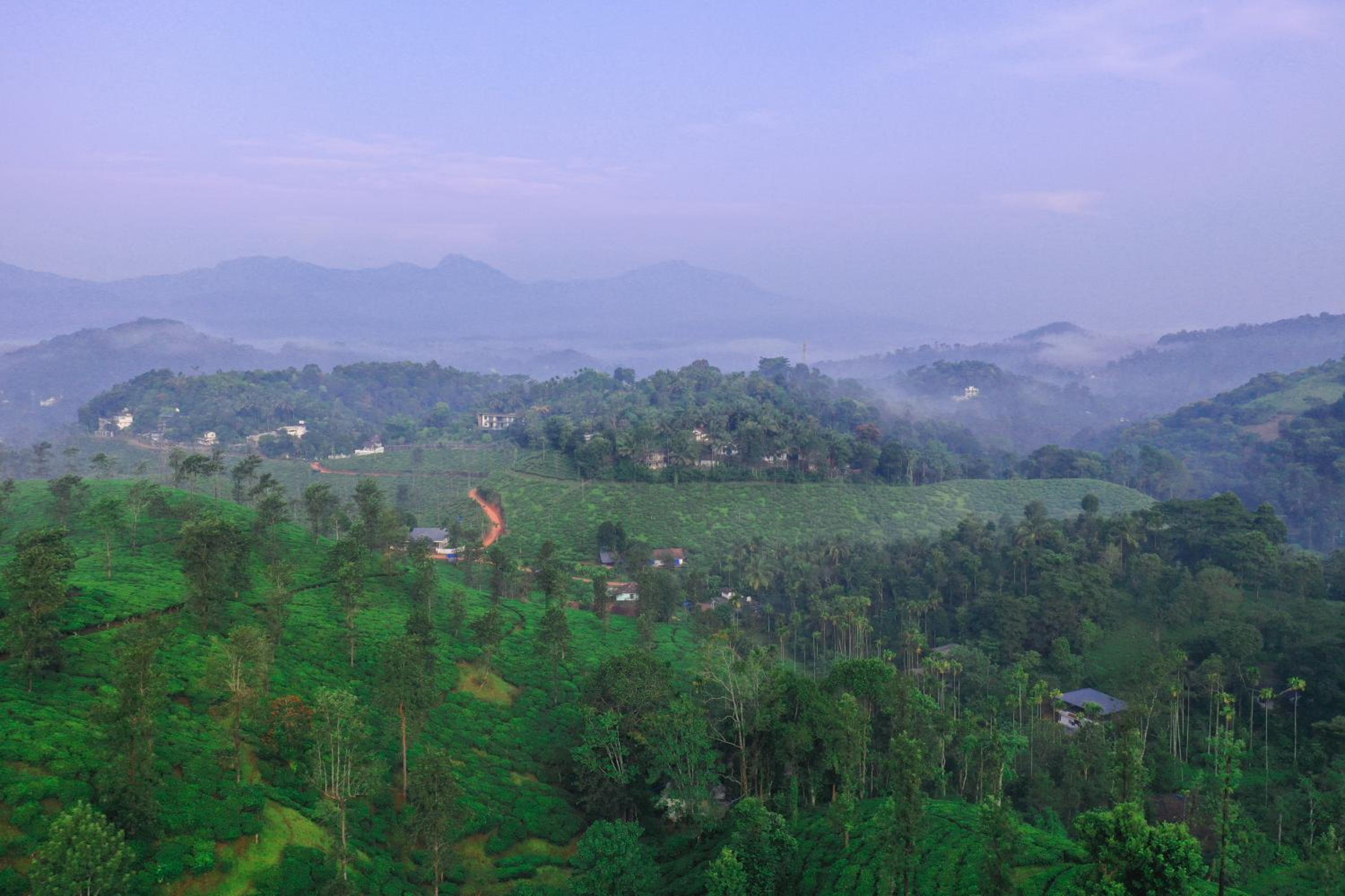 Leaves Resort Vythiri Wayanad