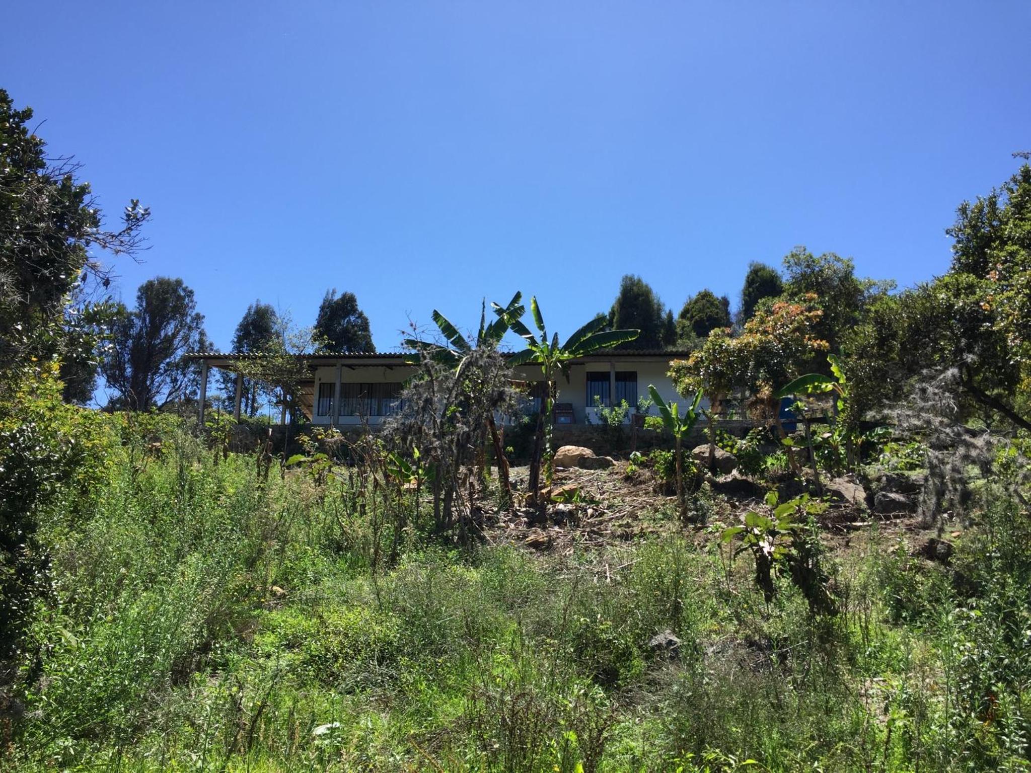 FINCA VILLA PEDREGAL RAQUIRA