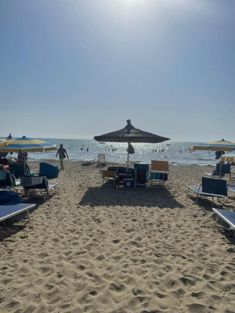 Tiara Beach Apartment