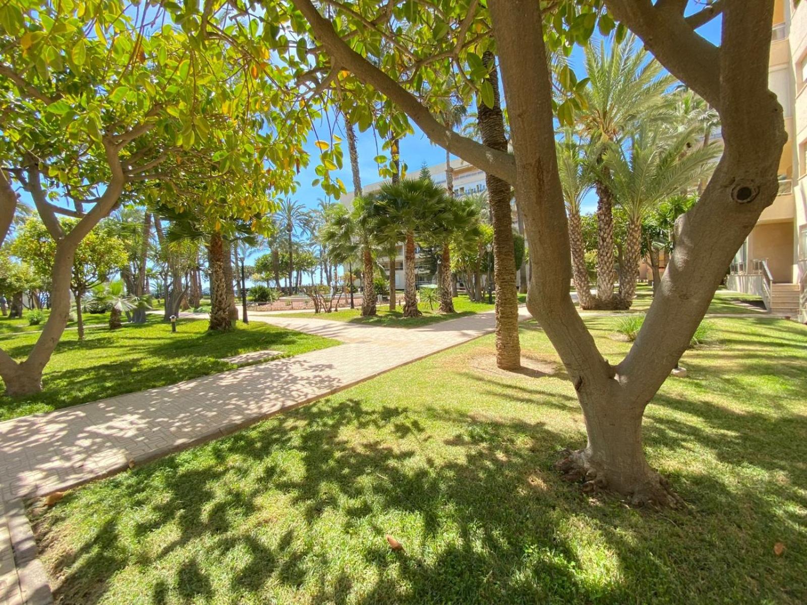 Golden Apartment in Palm Park