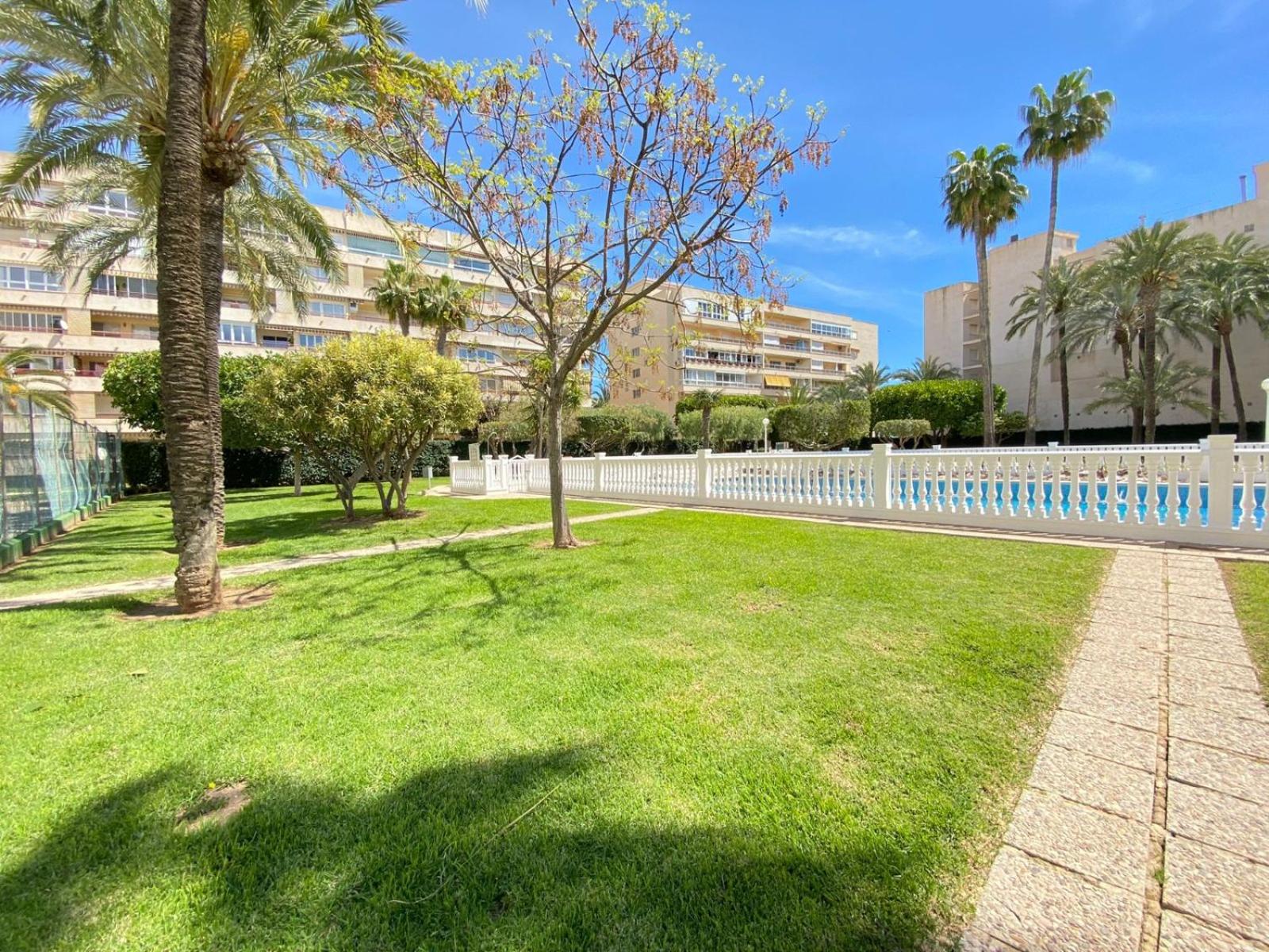 Golden Apartment in Palm Park