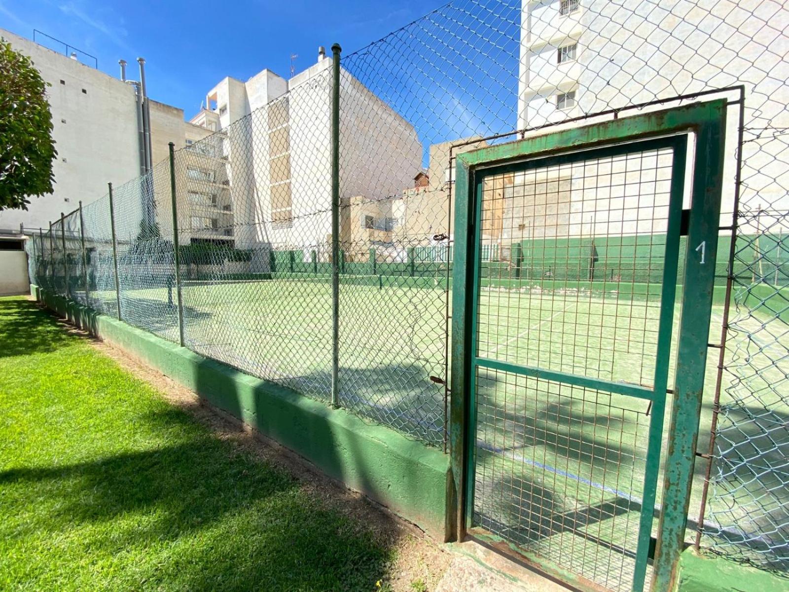Golden Apartment in Palm Park