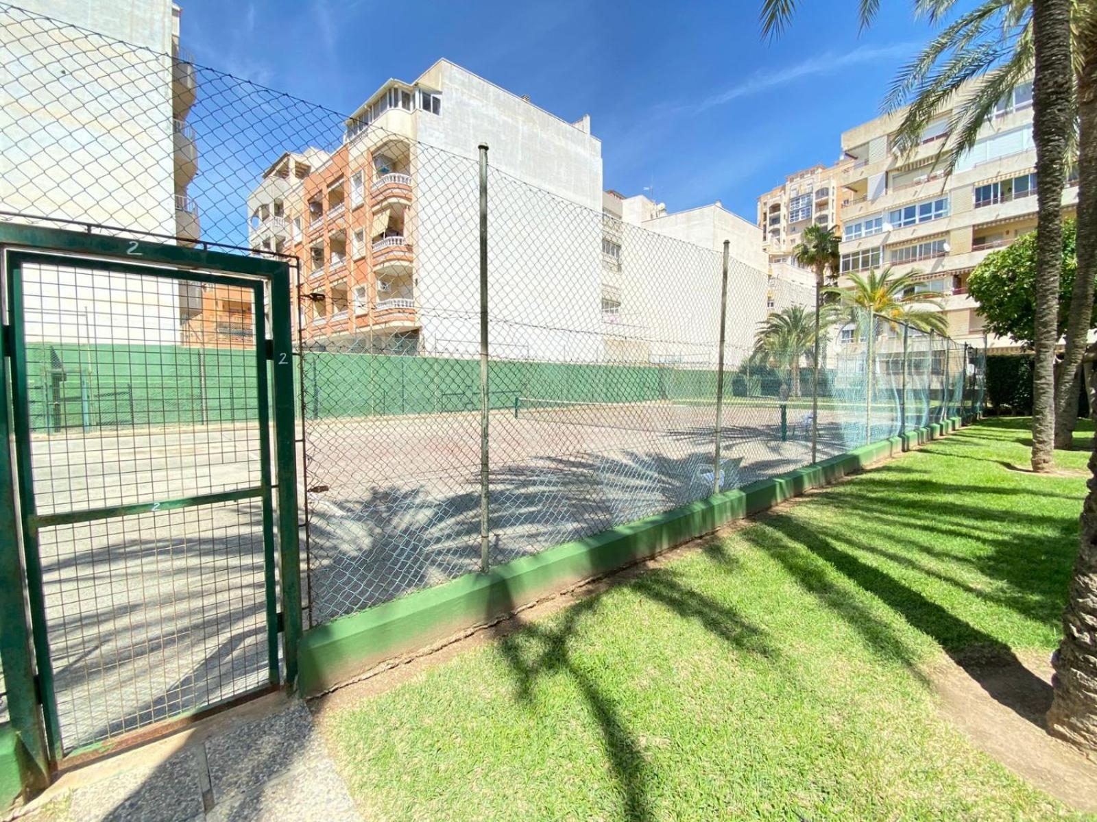 Golden Apartment in Palm Park