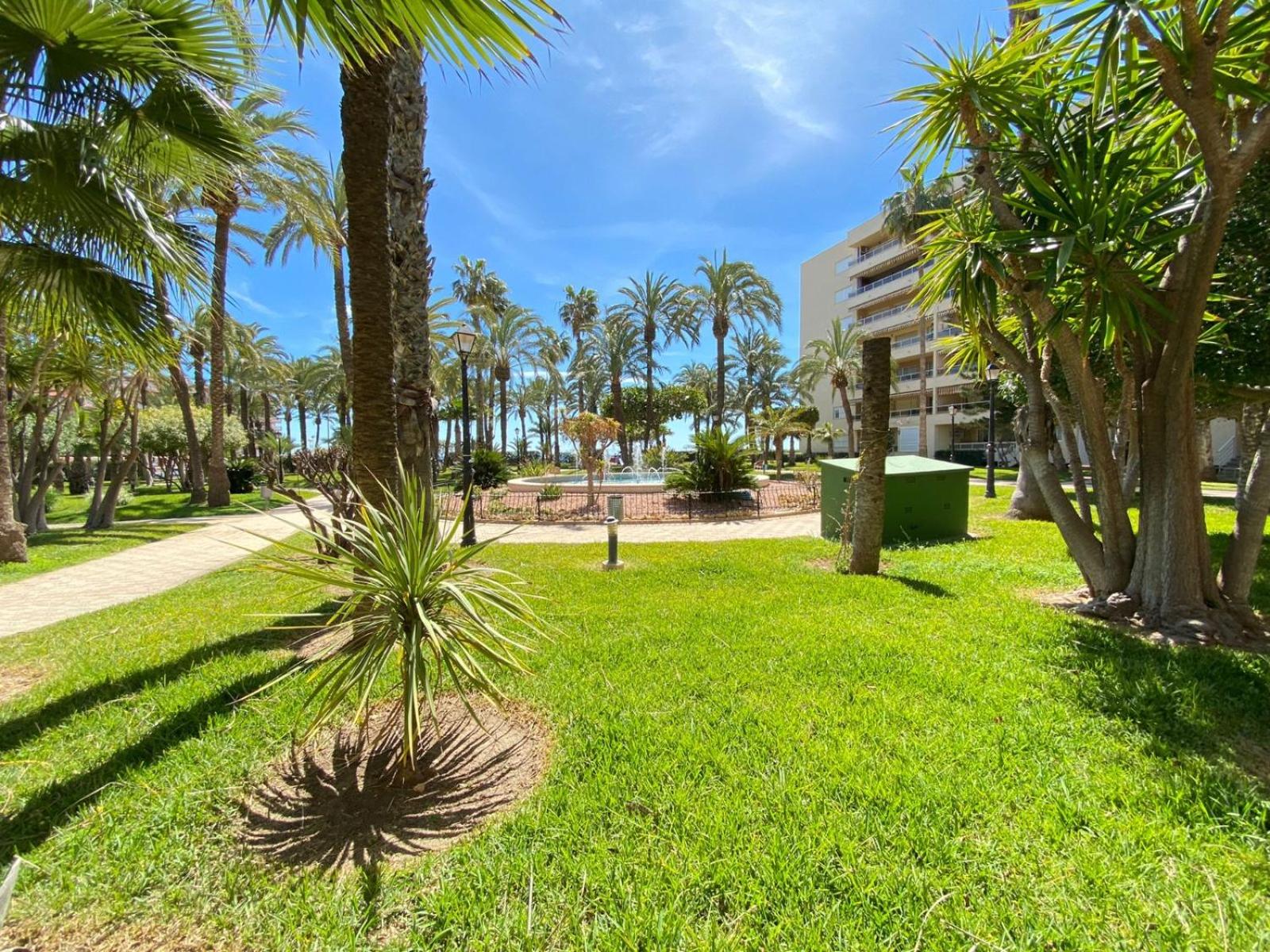 Golden Apartment in Palm Park