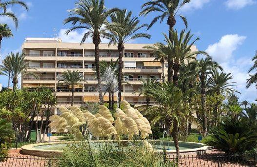 Golden Apartment in Palm Park