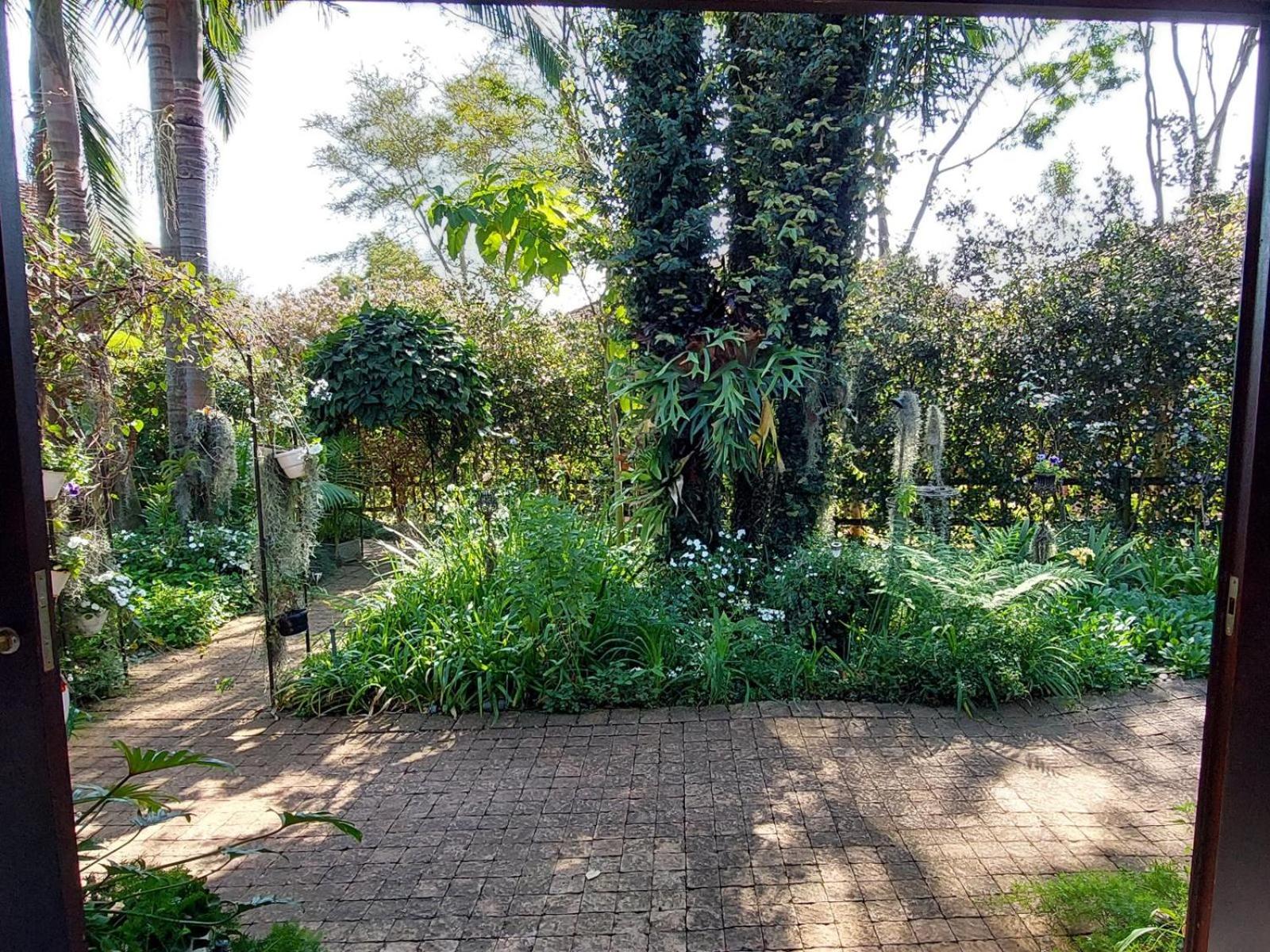 Palmetta Cottage