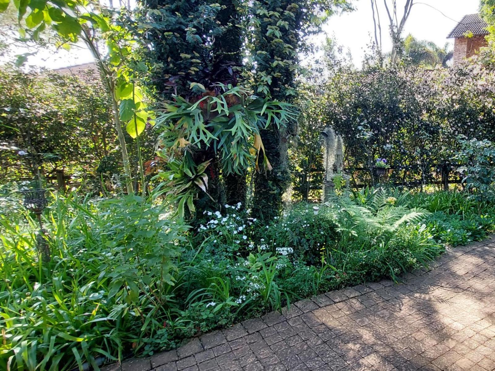 Palmetta Cottage