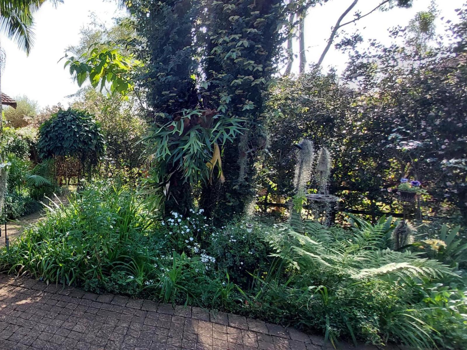 Palmetta Cottage