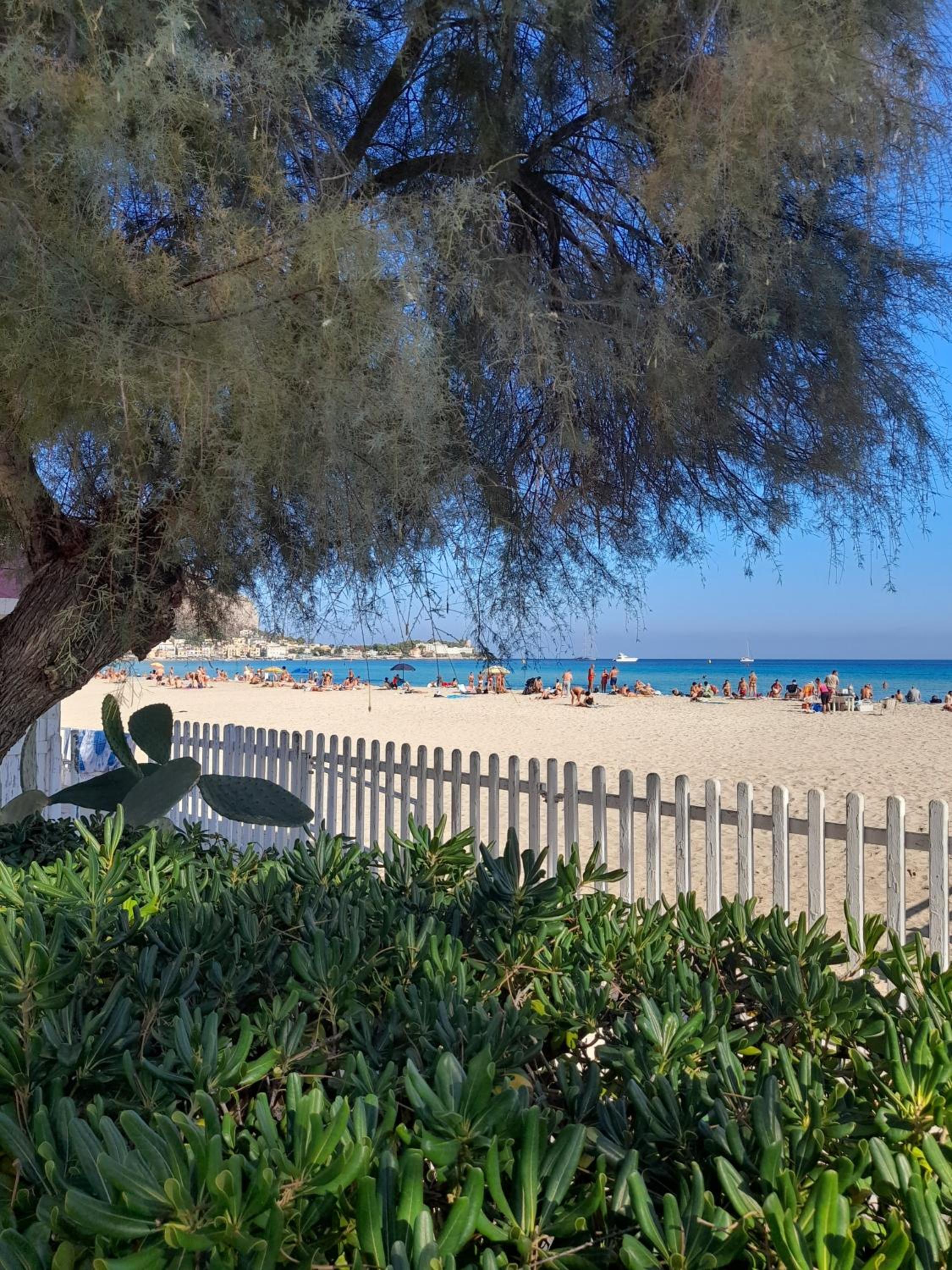 La comodità a due passi dal mare di Mondello view 3