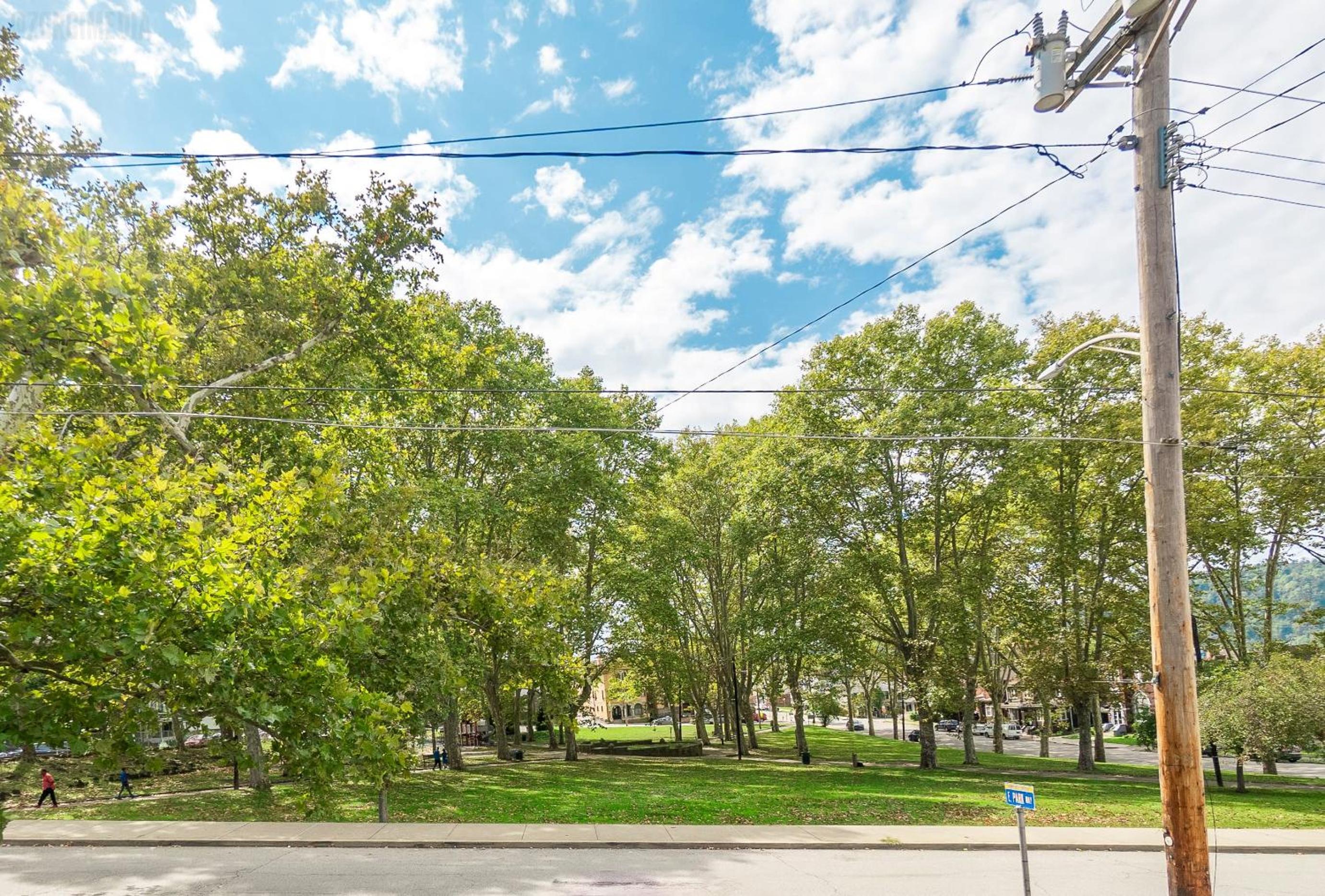Parkside Paradise Elegant Victorian Home Just Steps from the Park view 3
