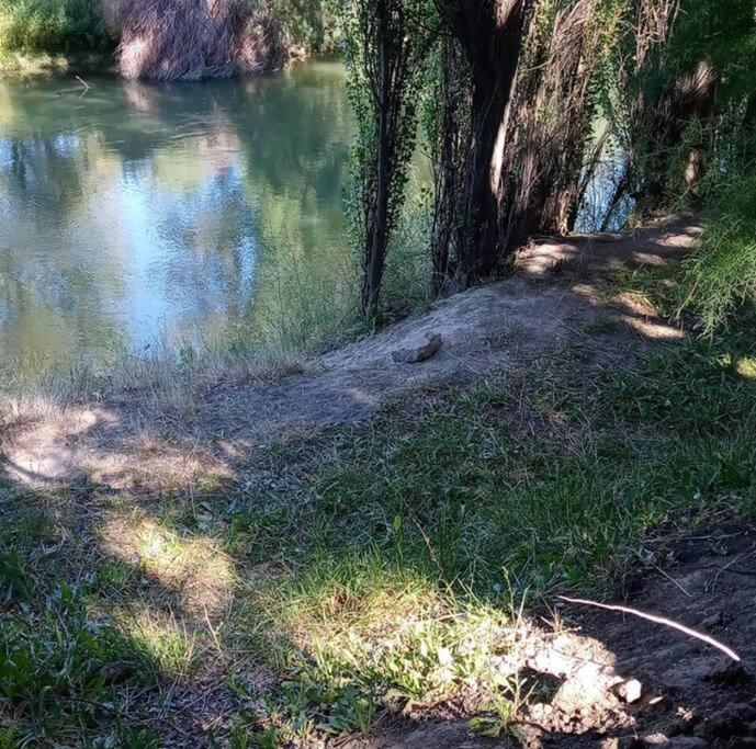 Casa rural junto al Río Chubut Ty'r Bont Trelew Gaiman