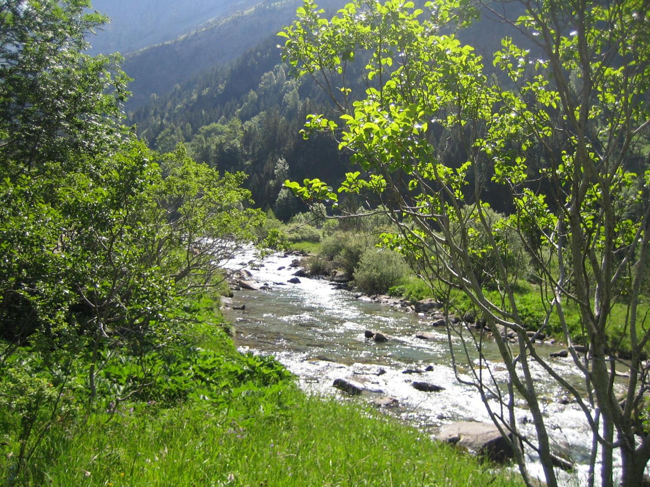 Photo 37