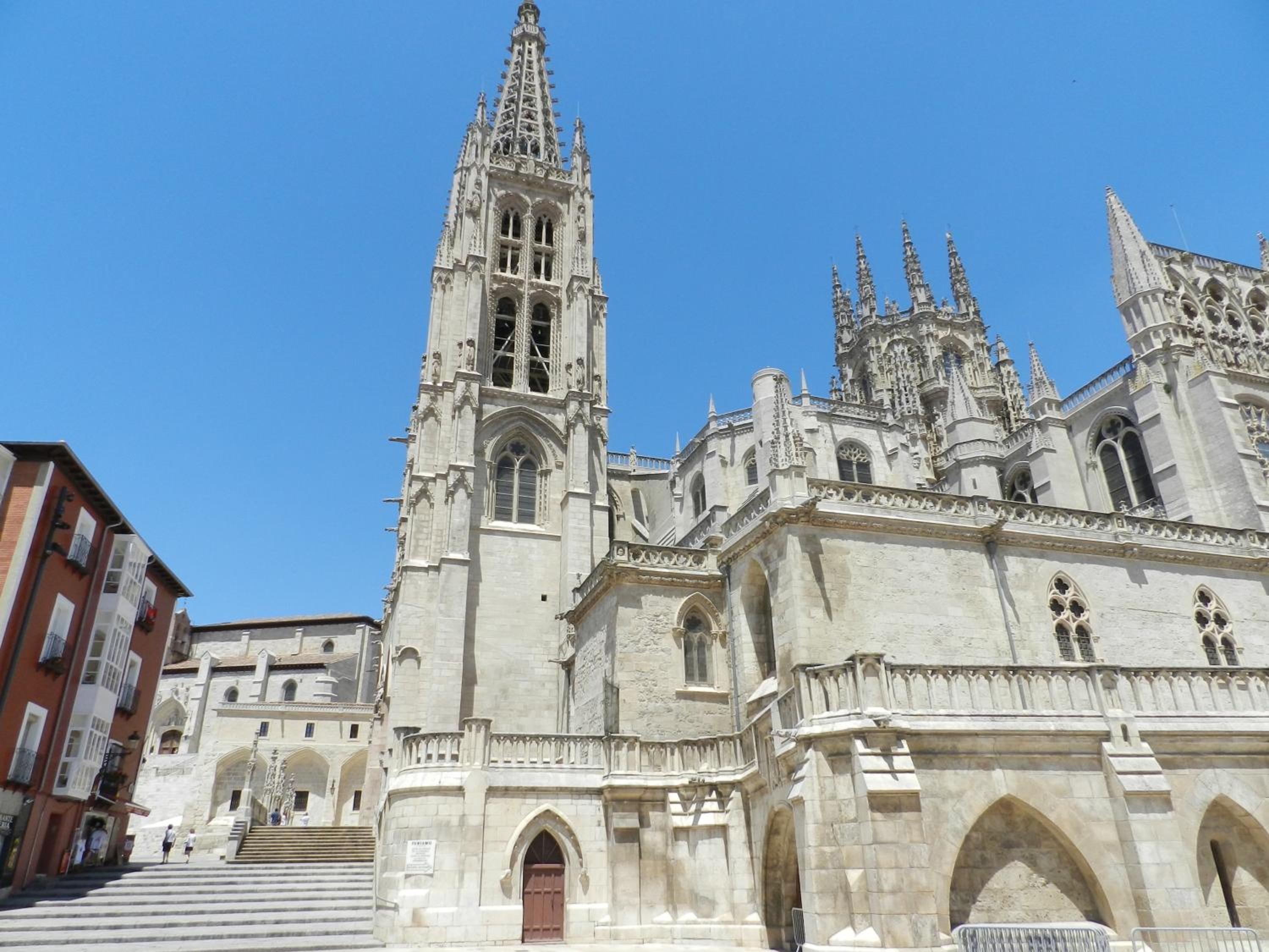 Photo 24