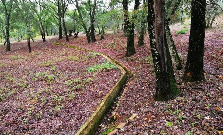 FINCA LA LISERILLA