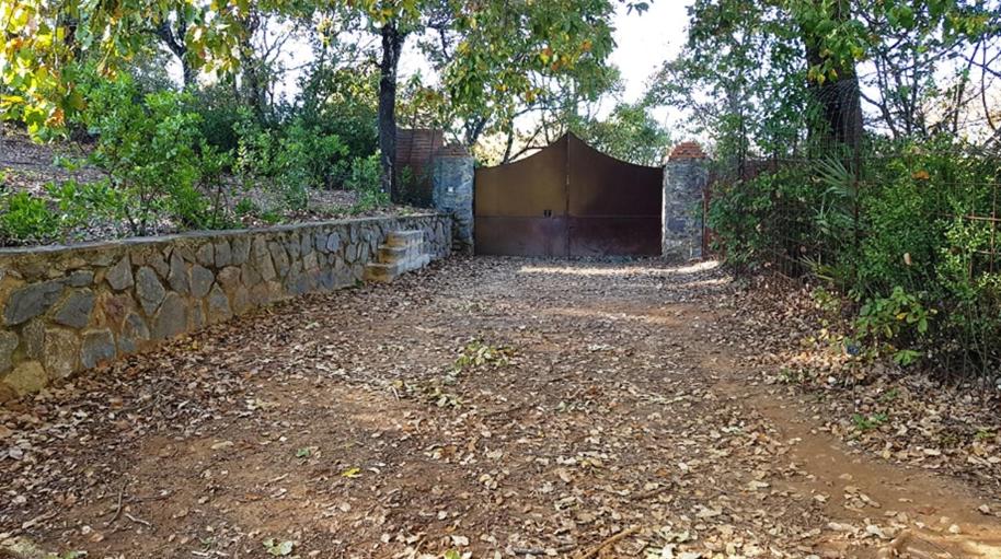 FINCA LA LISERILLA
