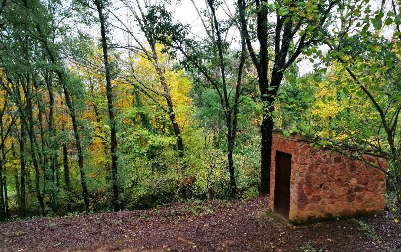 FINCA LA LISERILLA
