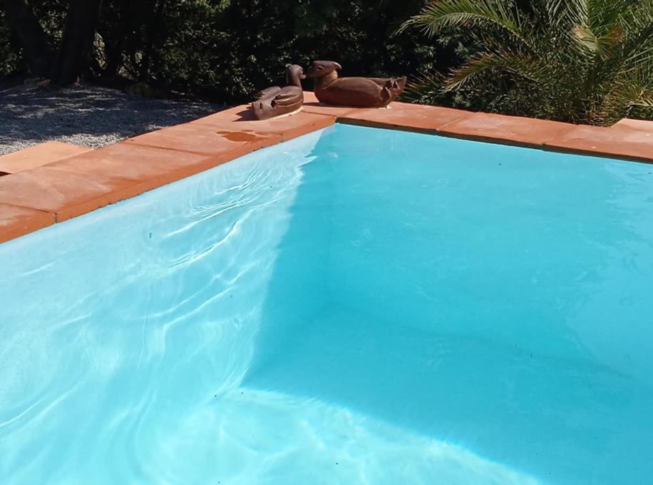 FINCA LA TEJONERA