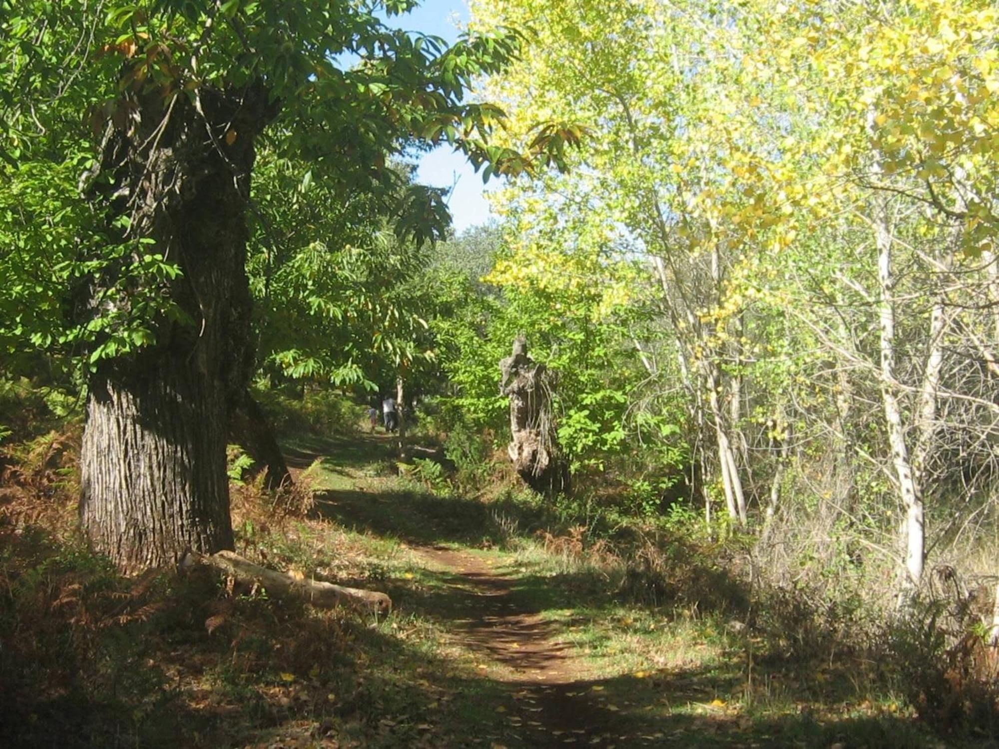 FINCA LA TEJONERA