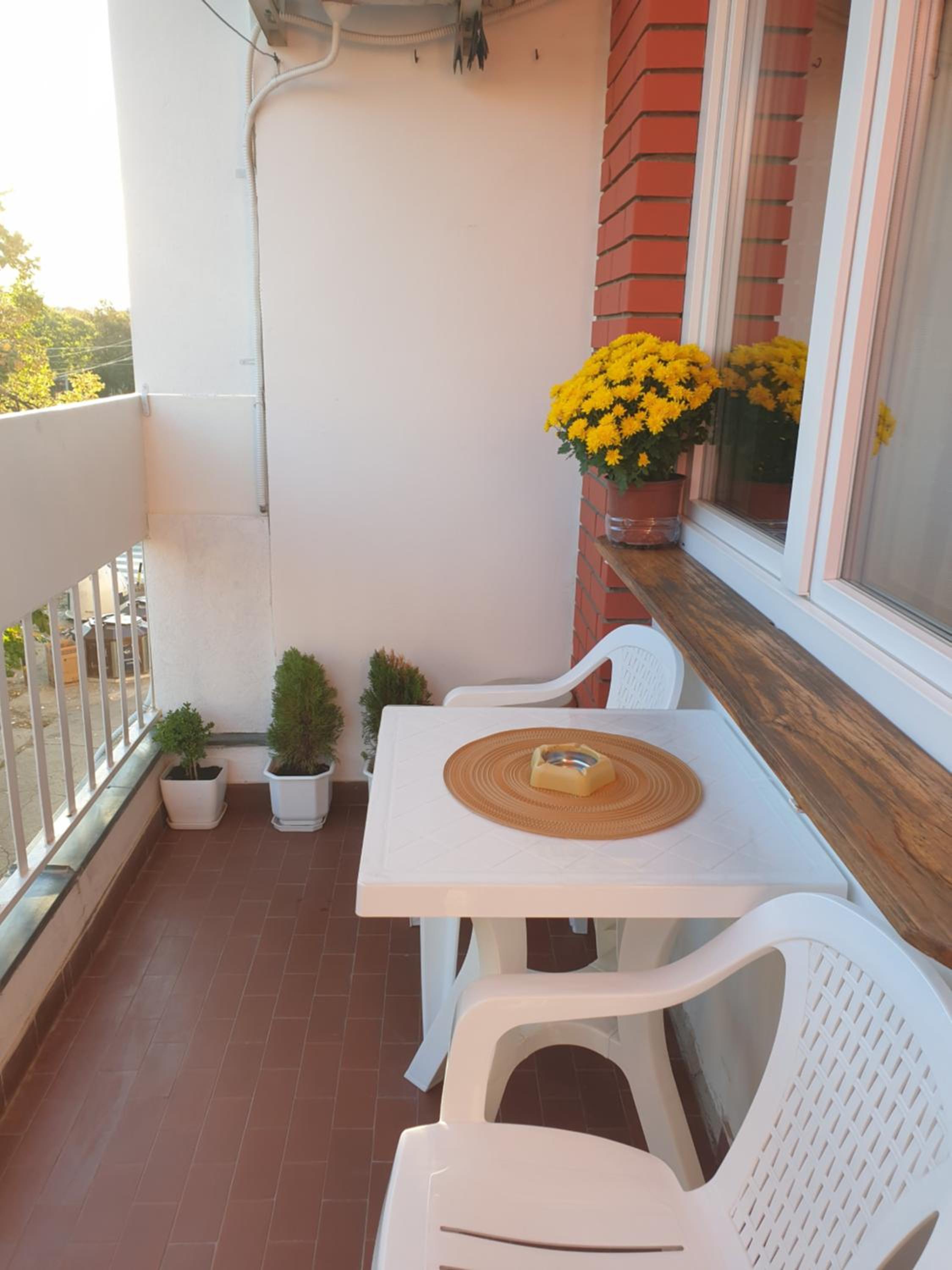 Photo 45