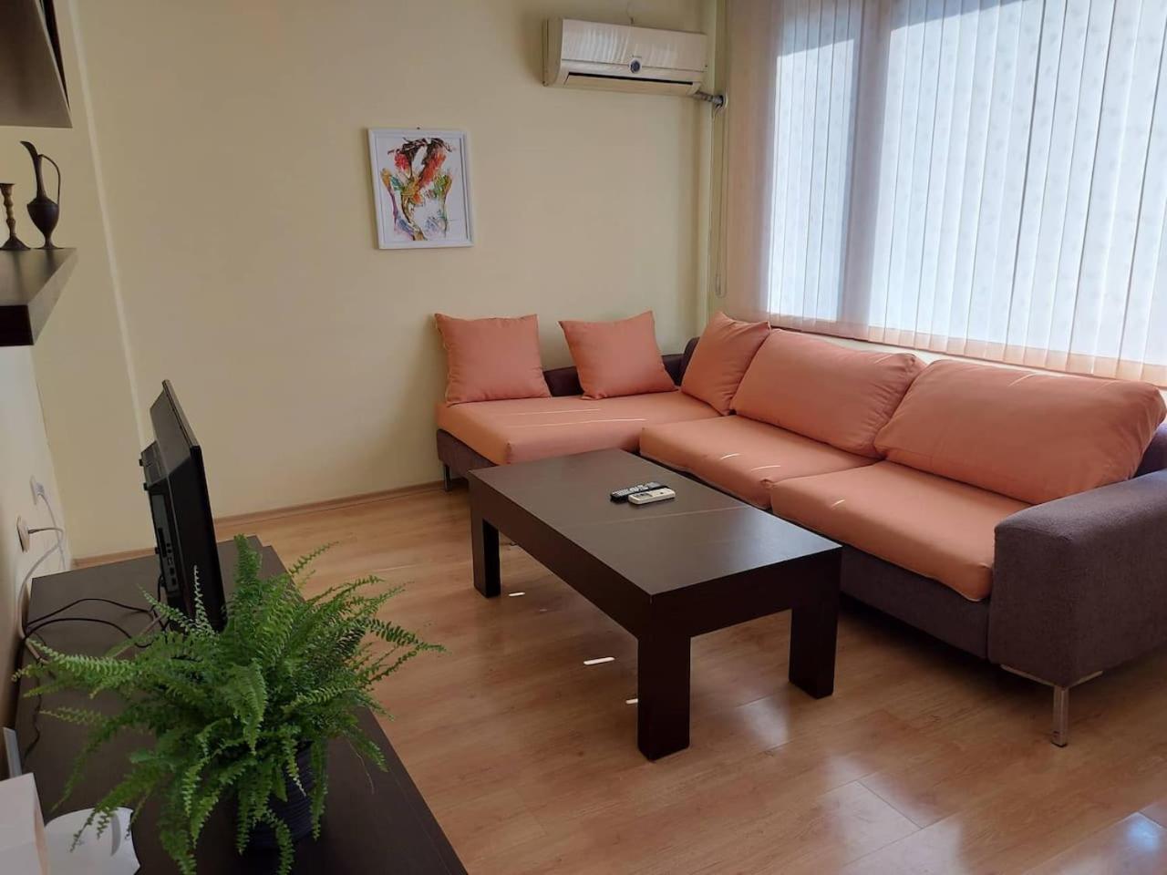 The Terrace Apartment