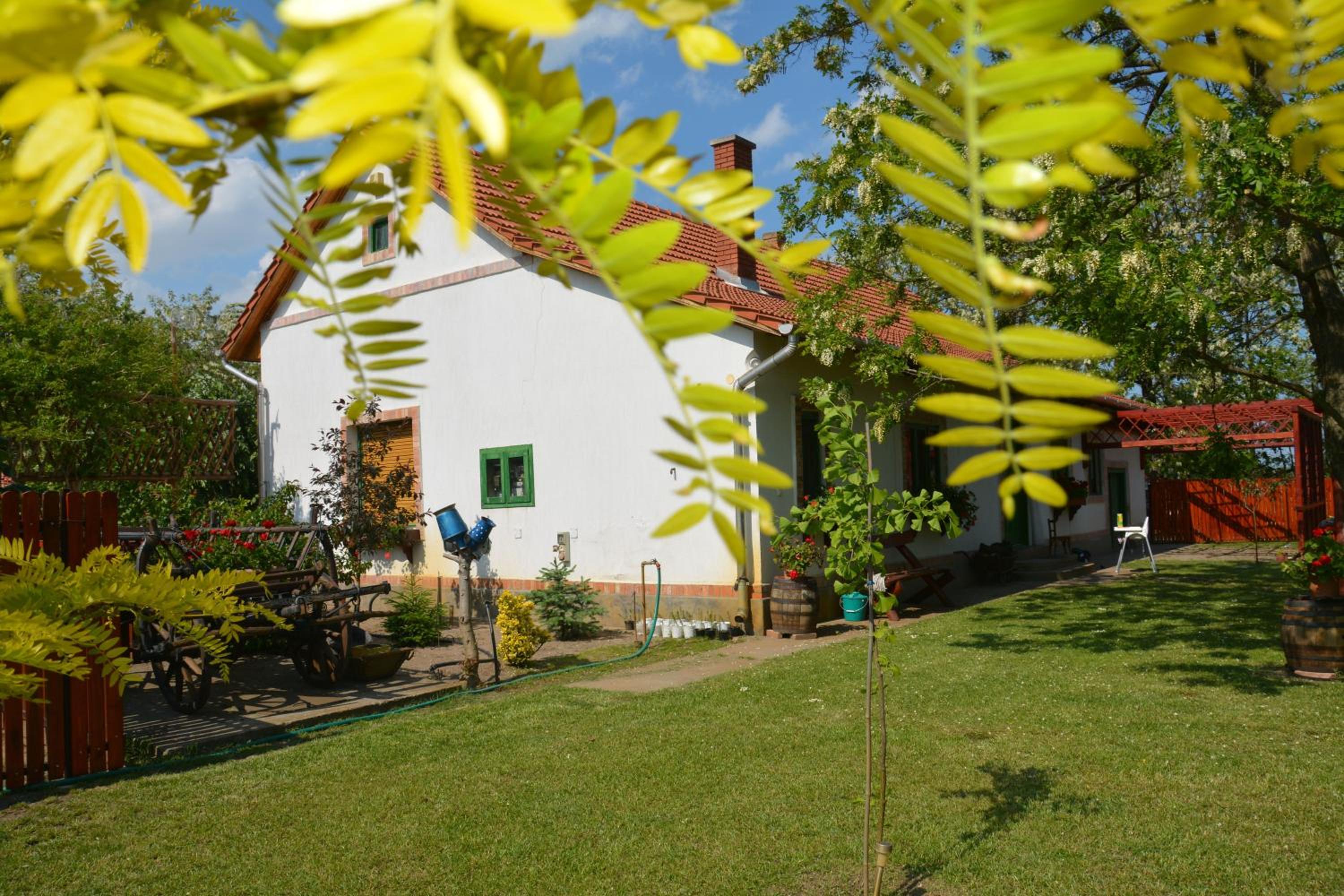 Photo 44
