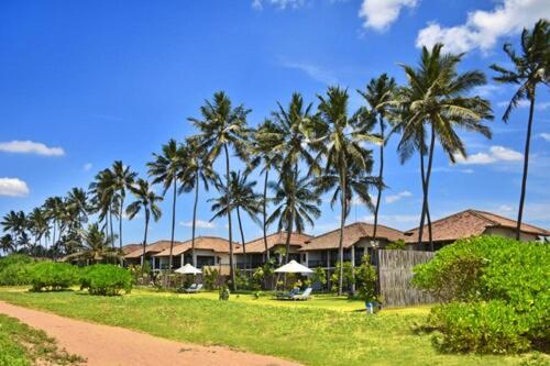 Wattura Resort & Spa — photo 67