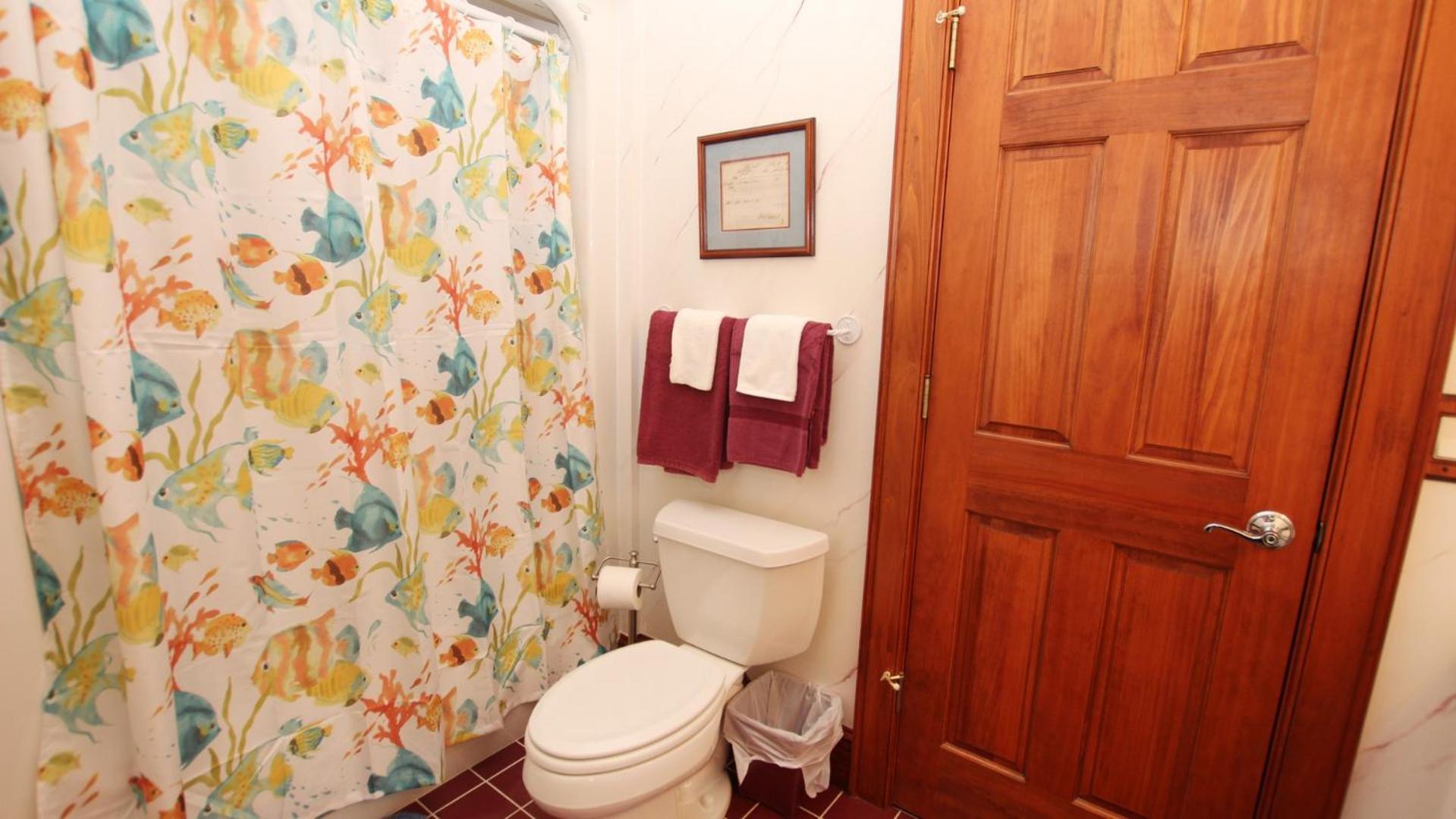 Photo 44