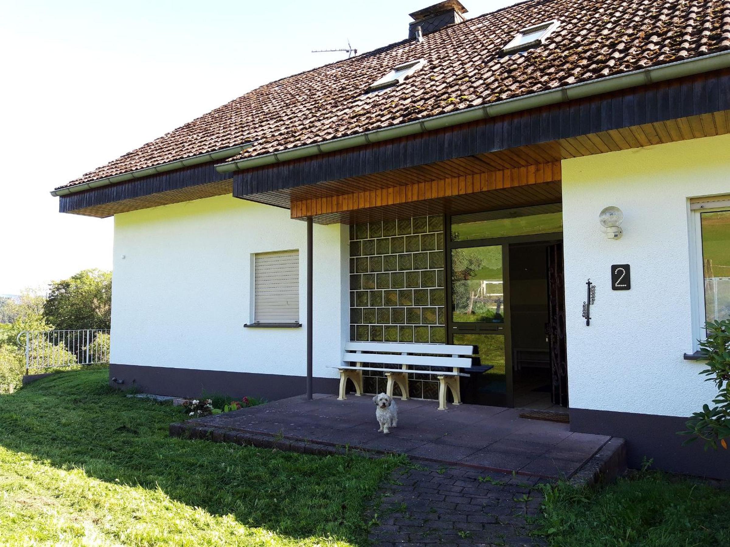 Photo 44