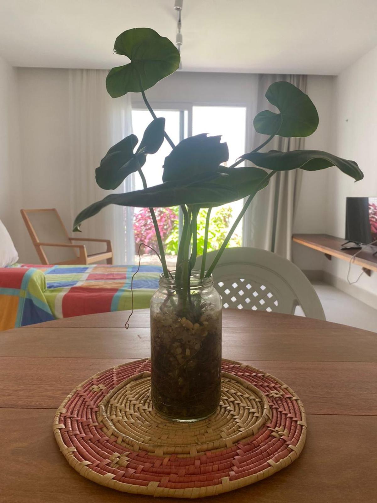 Apartamento Morro do Careca