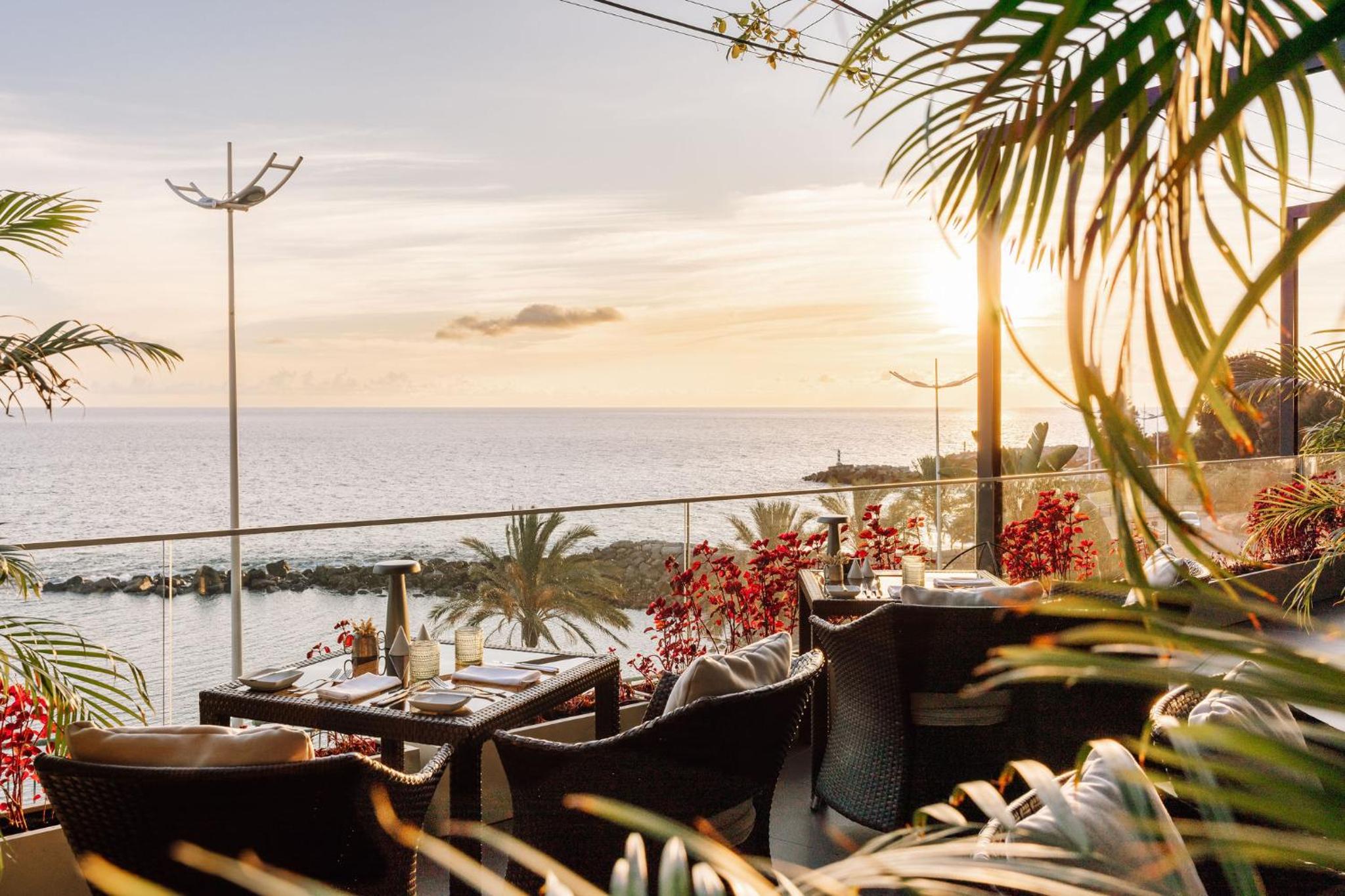 Saccharum Resort 43