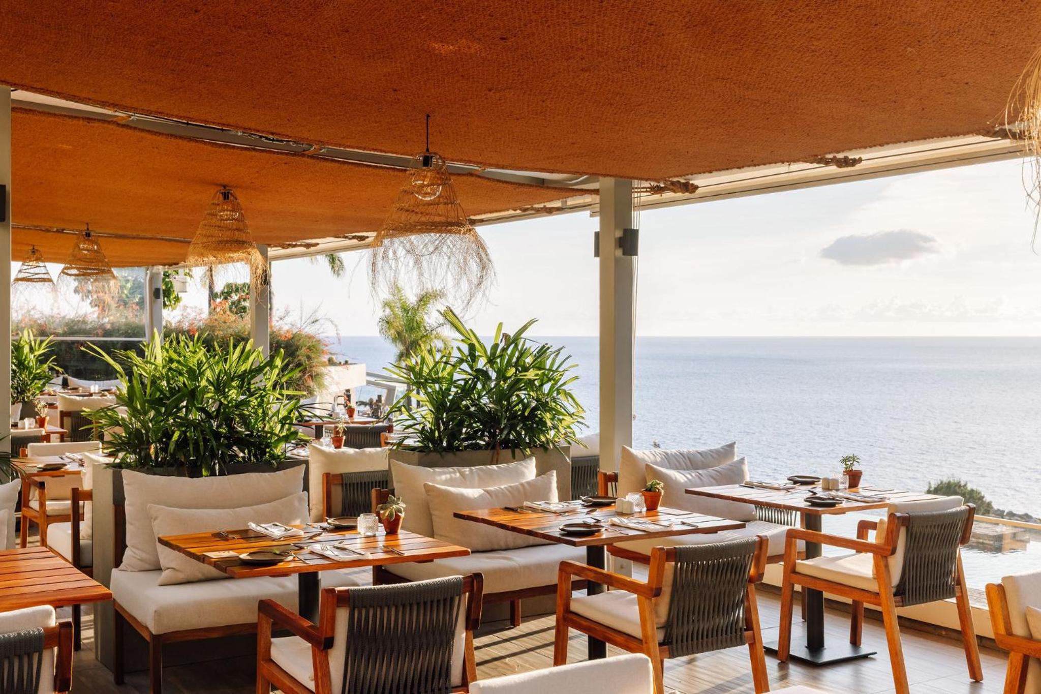 Saccharum Resort 53