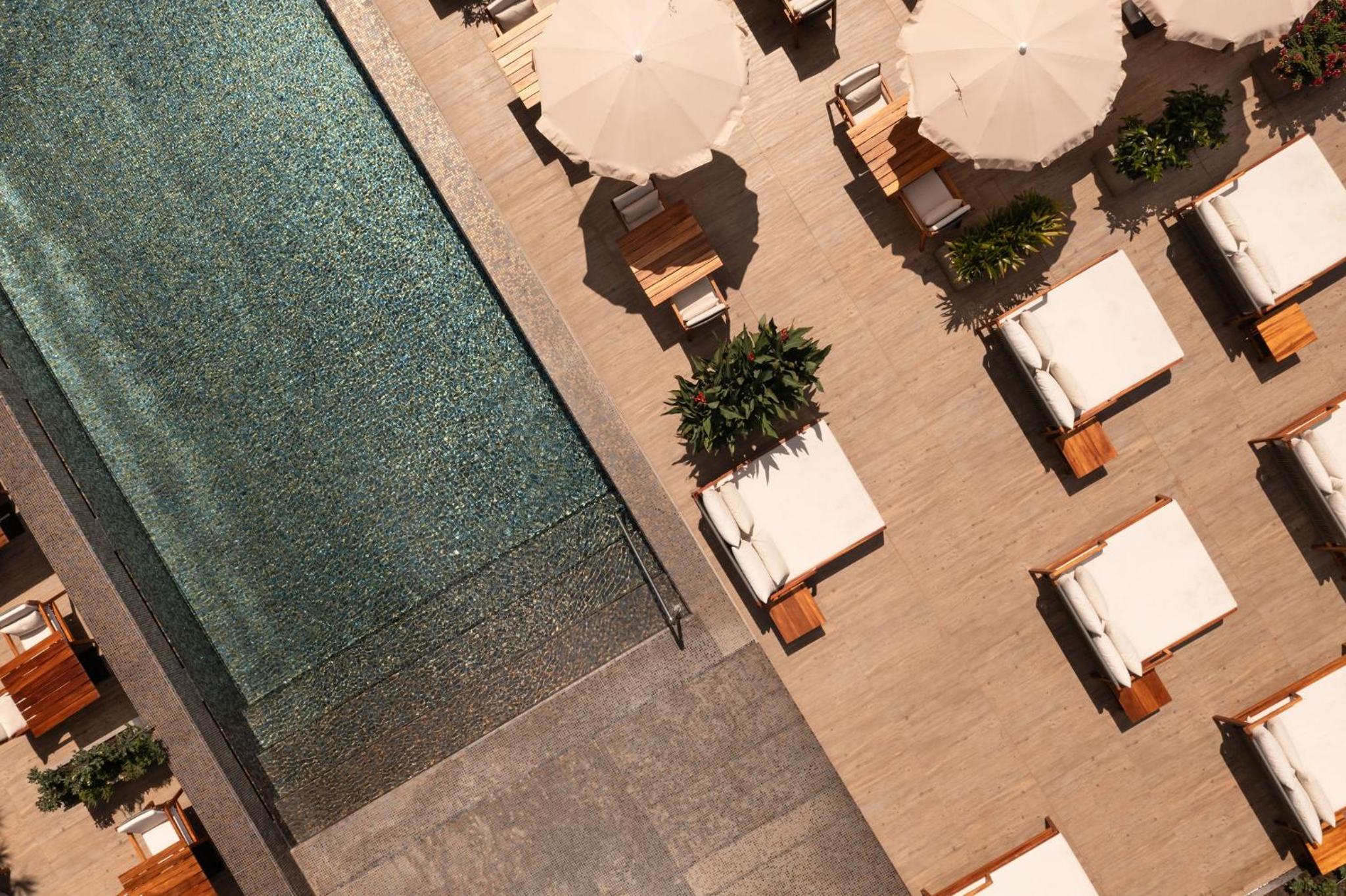 Saccharum Resort 72