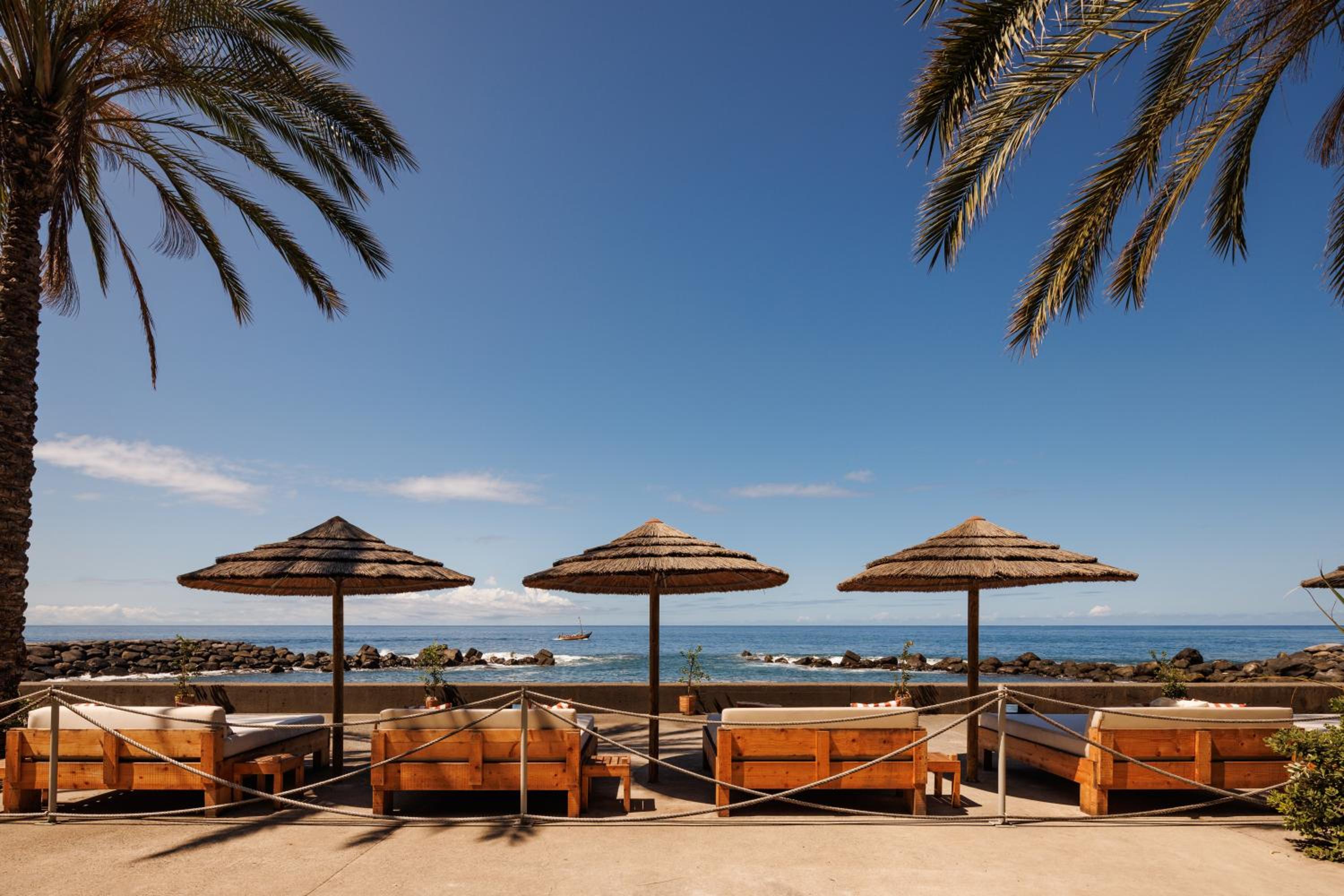 Saccharum Resort 49