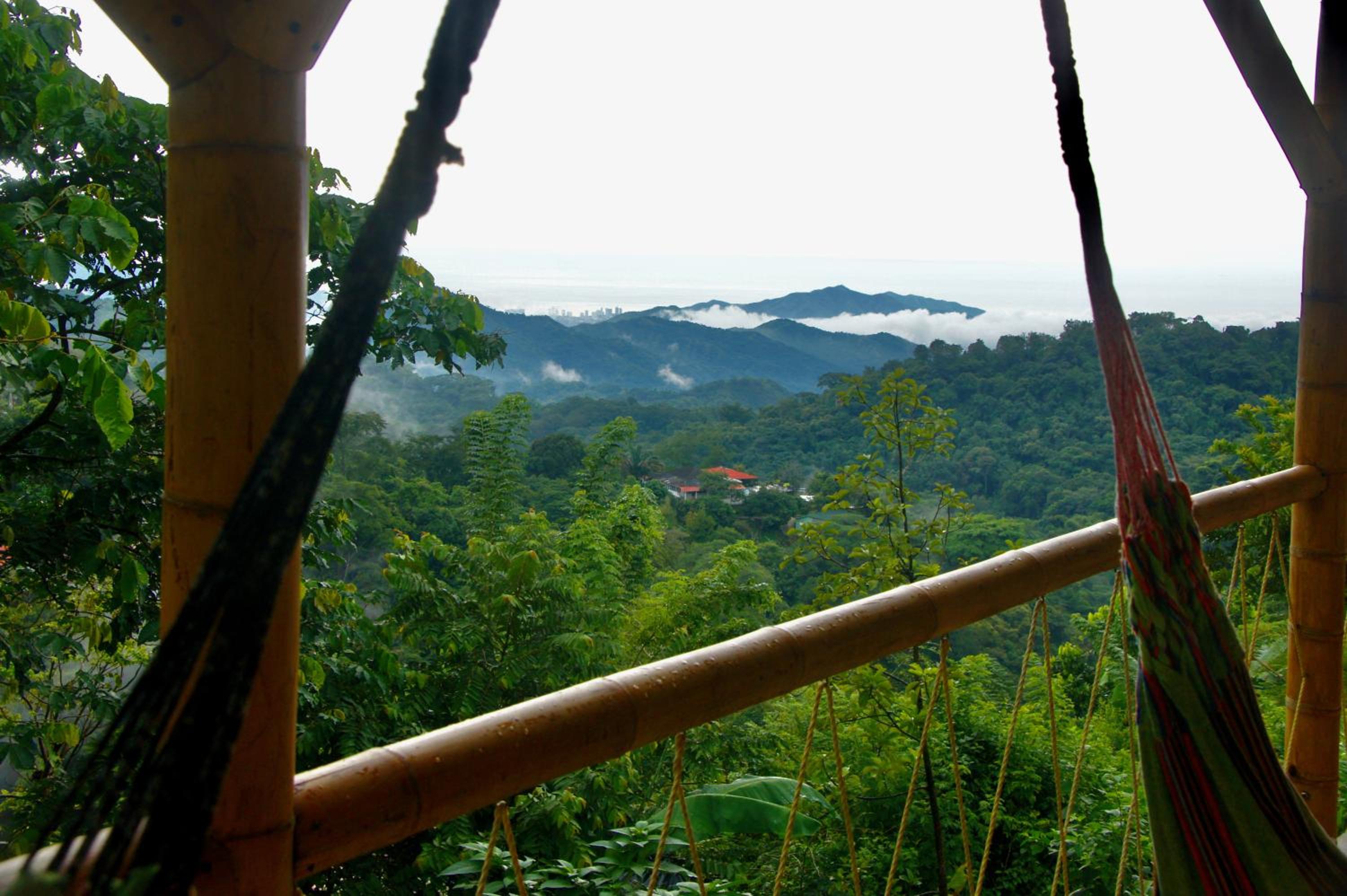 Hostal Vista Verde Minca