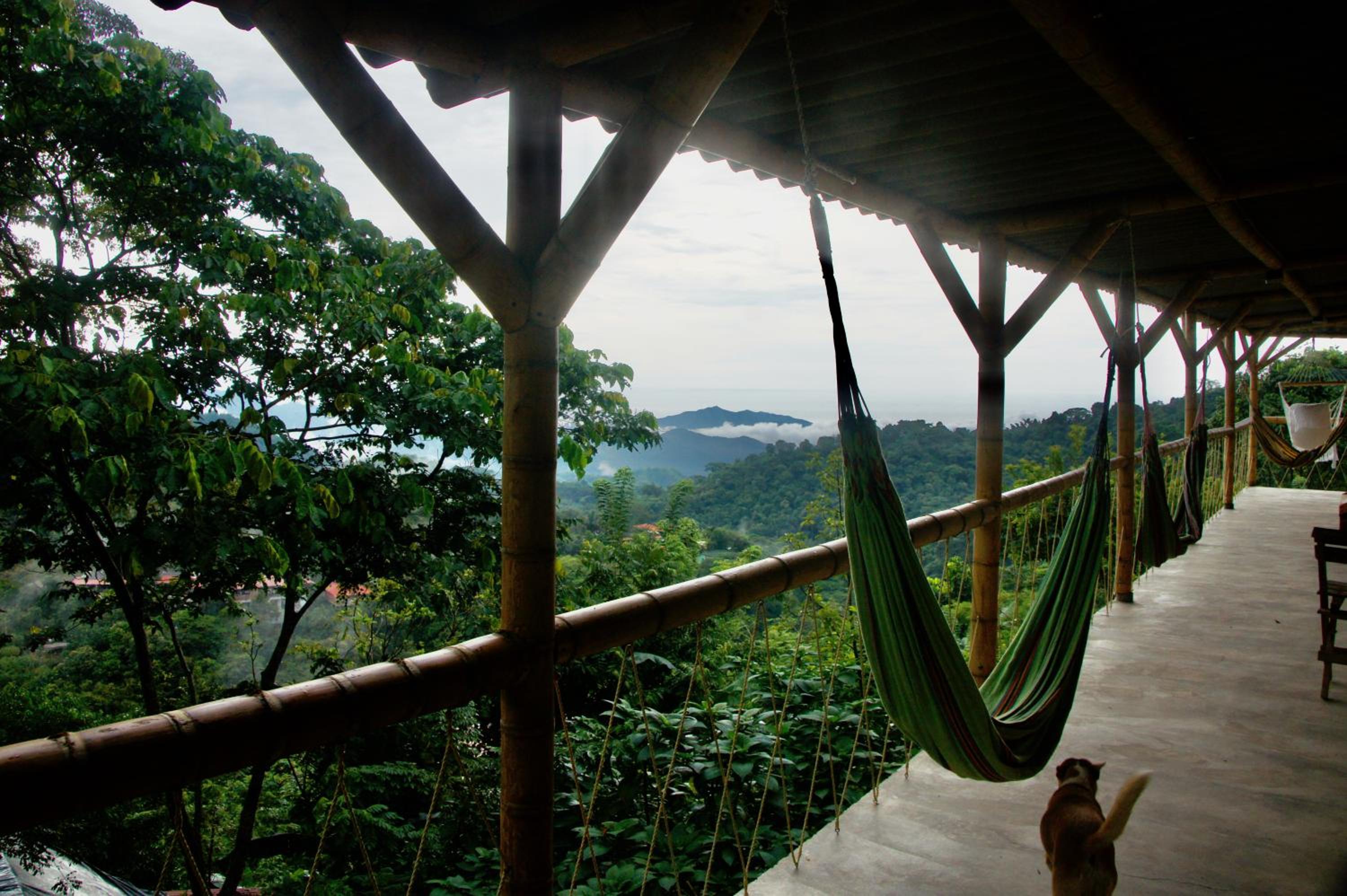 Hostal Vista Verde Minca
