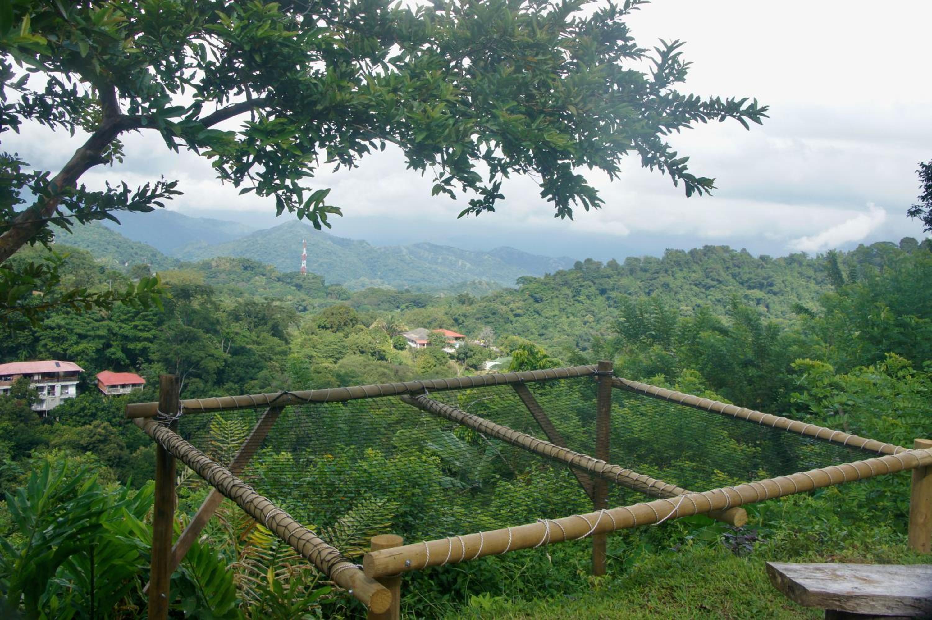 Hostal Vista Verde Minca