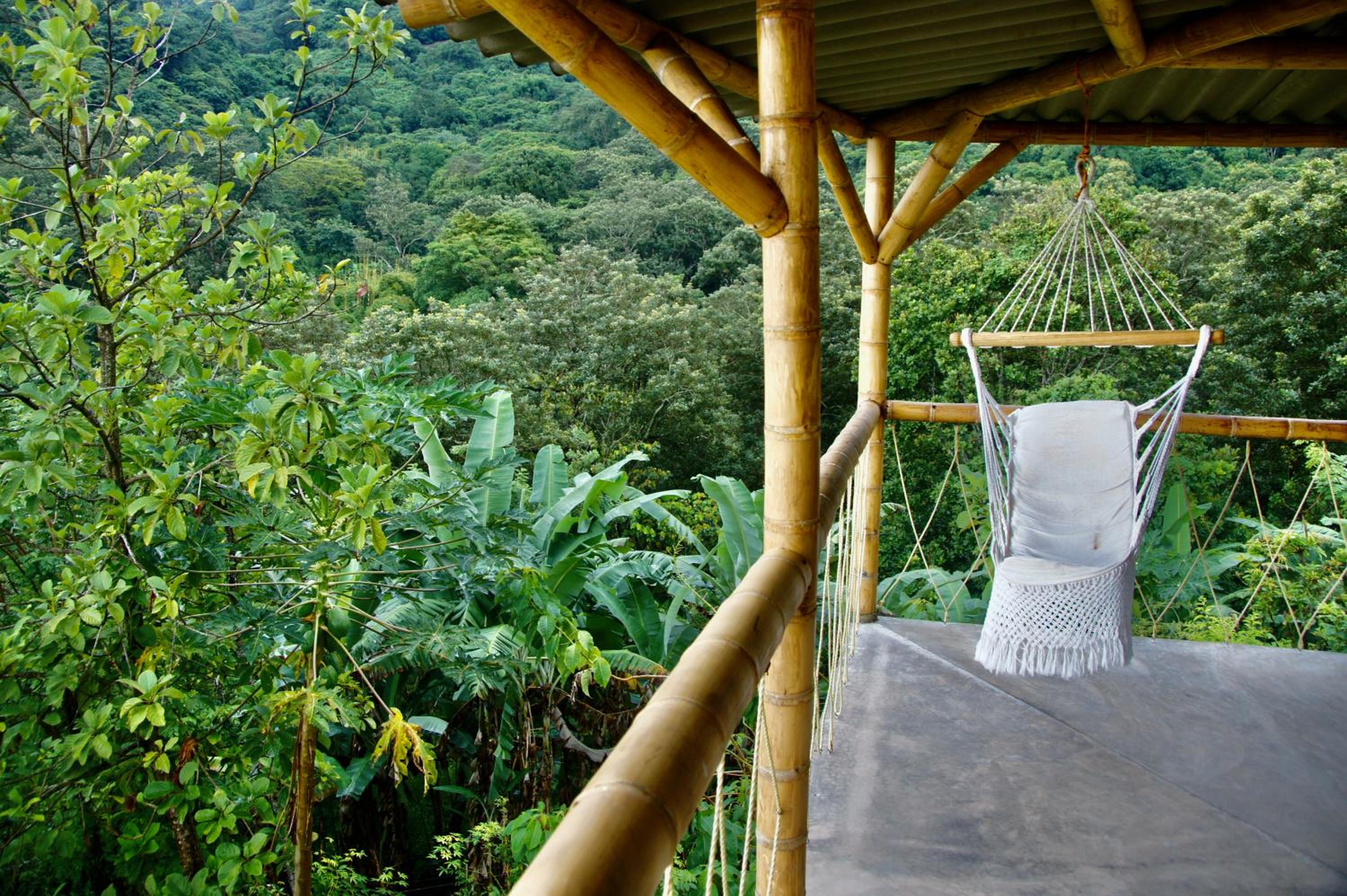 Hostal Vista Verde Minca