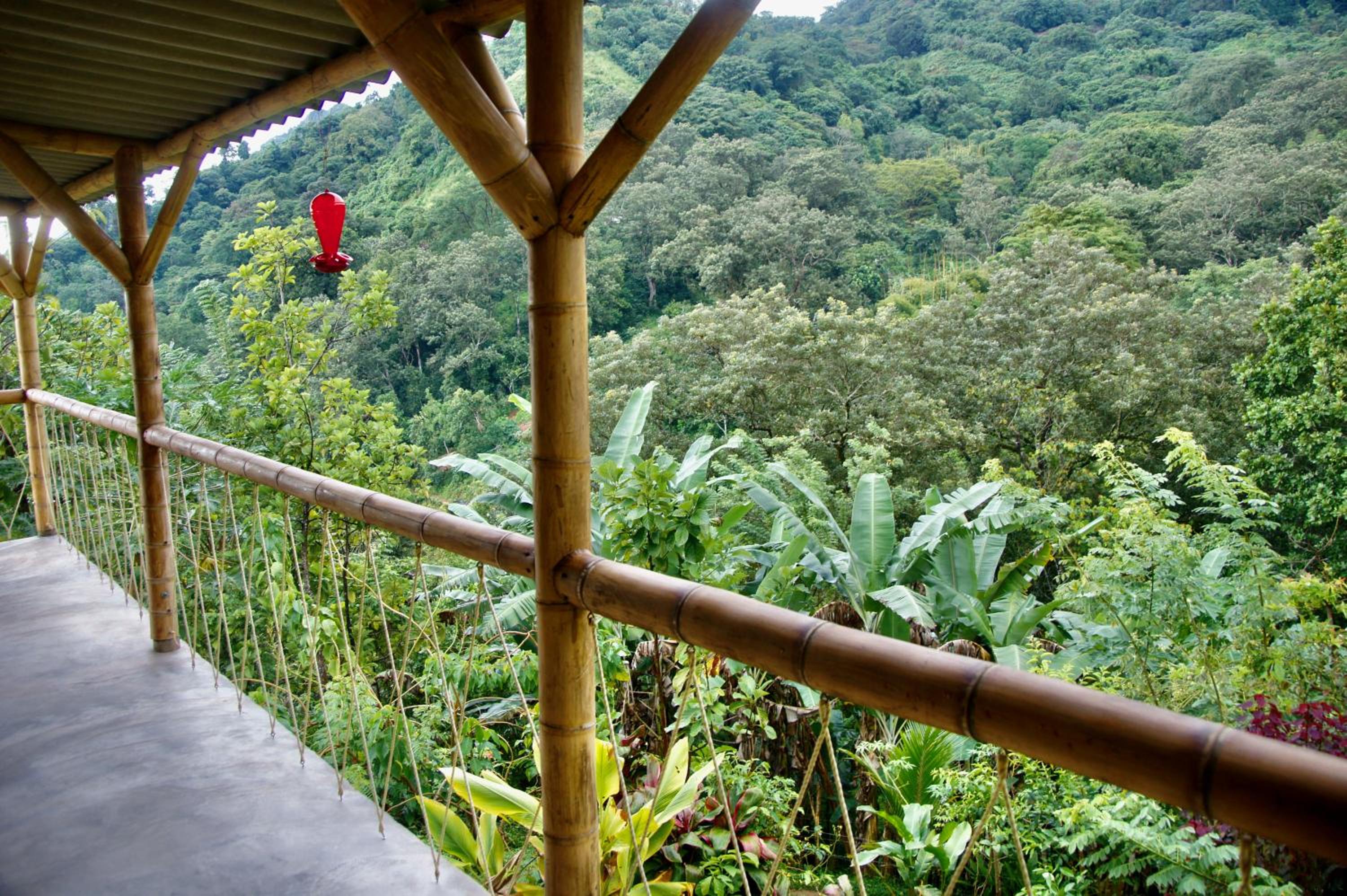 Hostal Vista Verde Minca