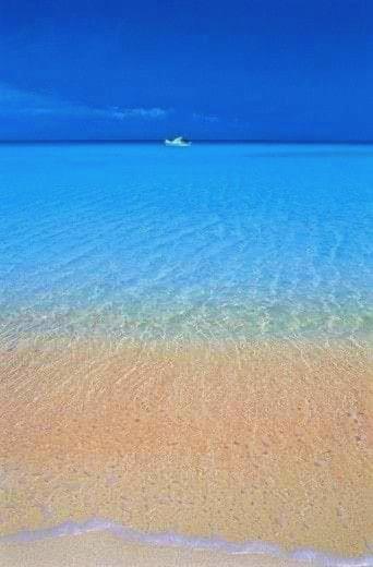 Suite Elisir Egitto Domina Coral Bay Resort