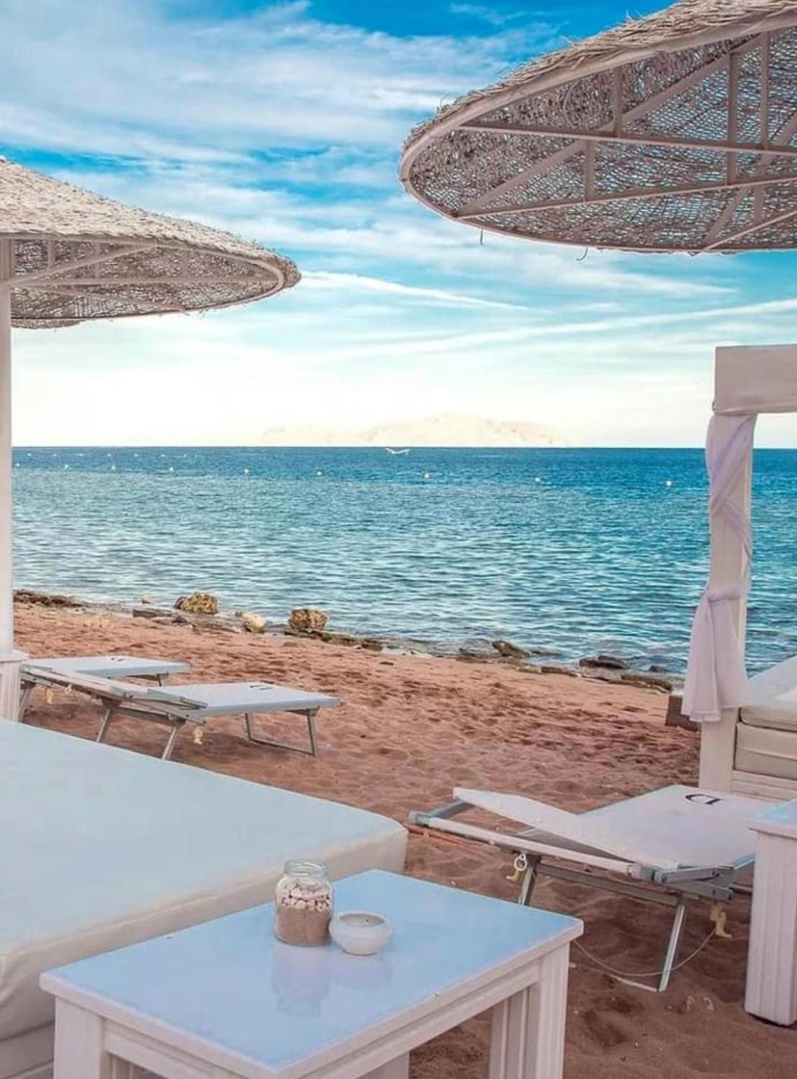 Suite Elisir Egitto Domina Coral Bay Resort